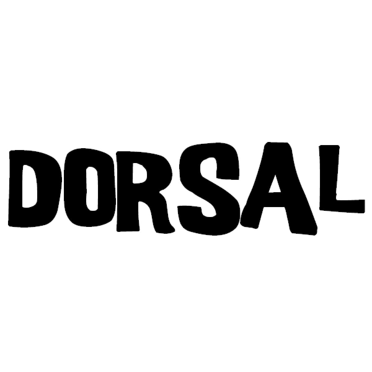 DORSAL Surfboard Fin Screws and Hex Key - OVERLANDERS Outfitter