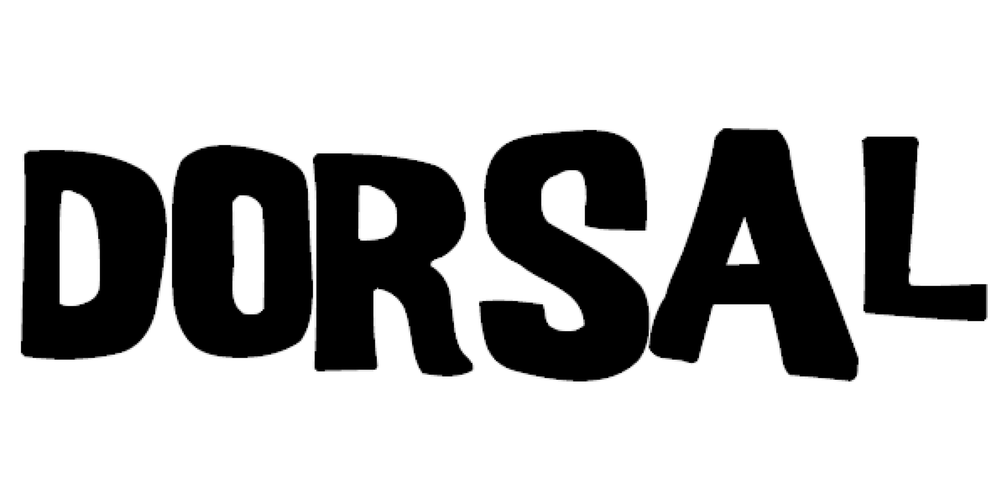 DORSAL Sunguard No Fade Full Size Truck Tailgate Pad for Bicycle and Mountain Bikes - OVERLANDERS Outfitter