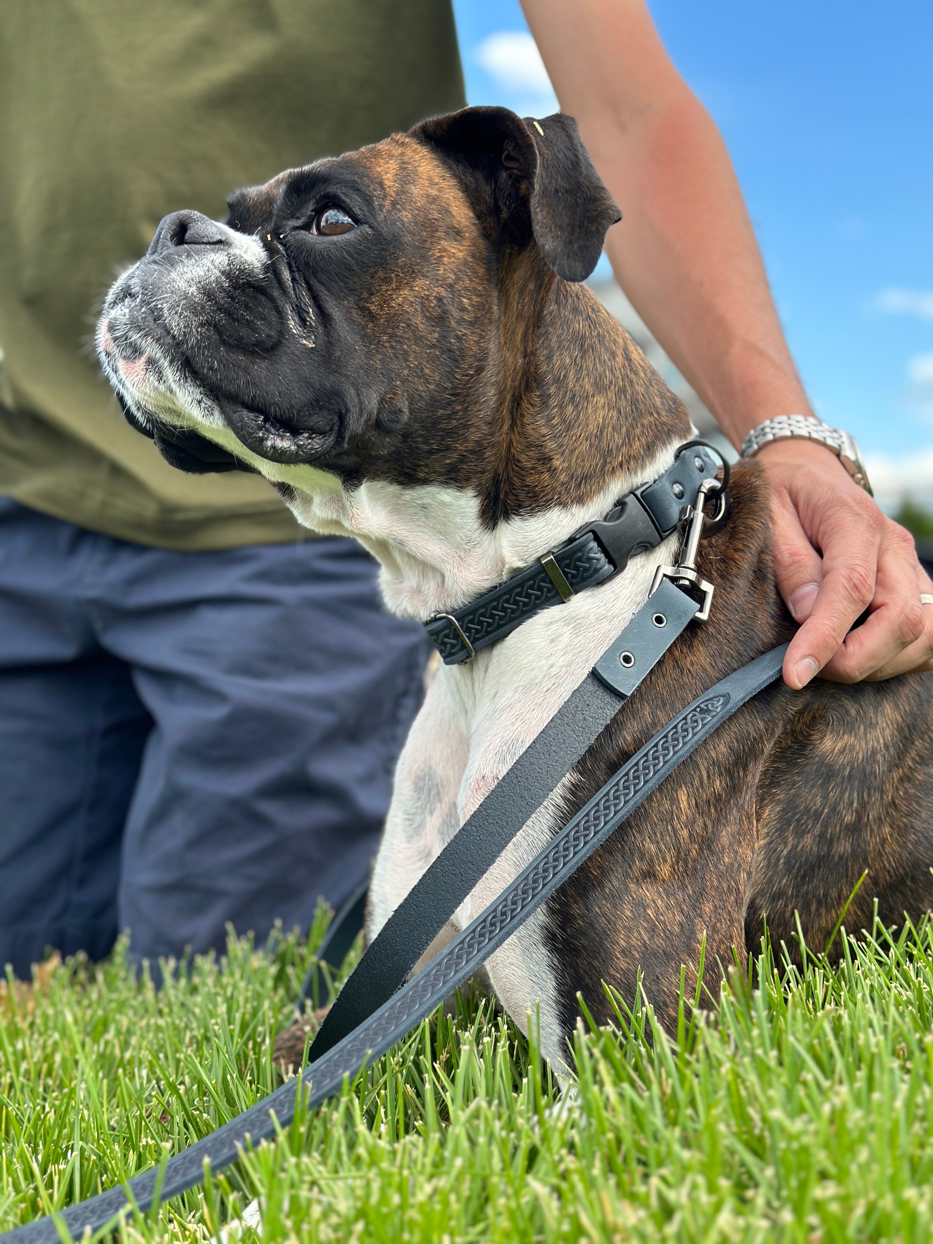 Celtic Sport Blue Jeans Leather Dog Leash - OVERLANDERS Outfitter