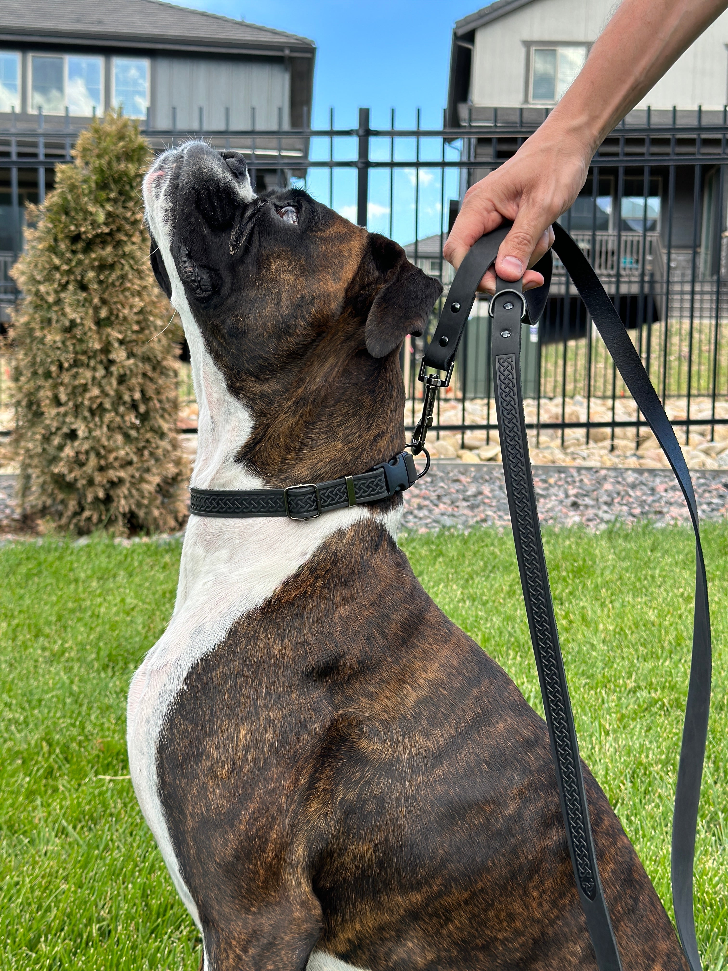 Celtic Sport Midnight Black Leather Dog Leash - OVERLANDERS Outfitter