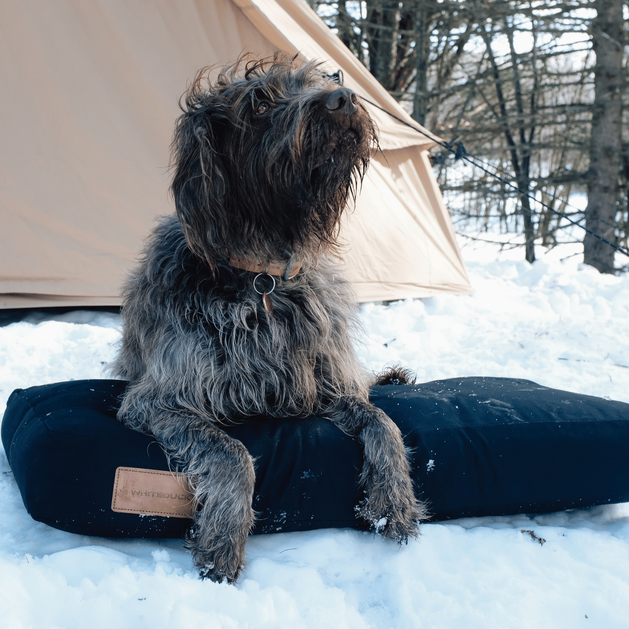 White Duck Outdoors pet dog bed with plush cushion and quilted fabric for comfortable sleep and relaxation.