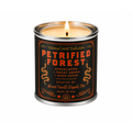 Petrified Forest National Park Candle - OVERLANDERS Outfitter