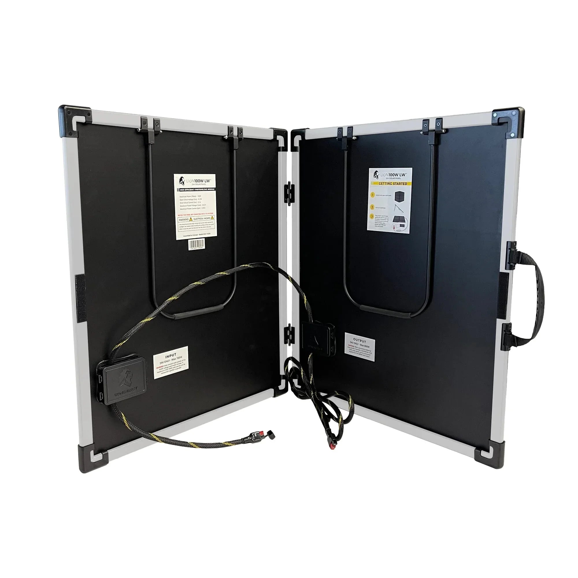 Lion Energy 100W LW Solar Panel 12V - We The Collective