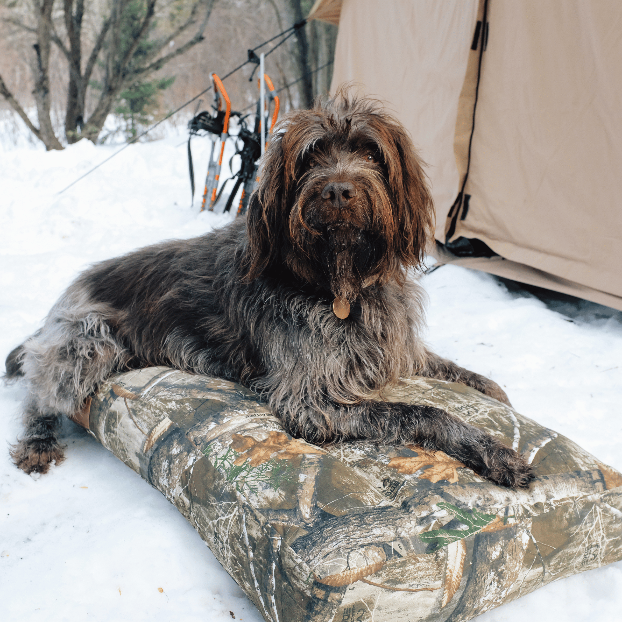 Dog Bed - OVERLANDERS Outfitter