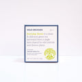 Everyday Green - Organic Green Tea Bag - OVERLANDERS Outfitter