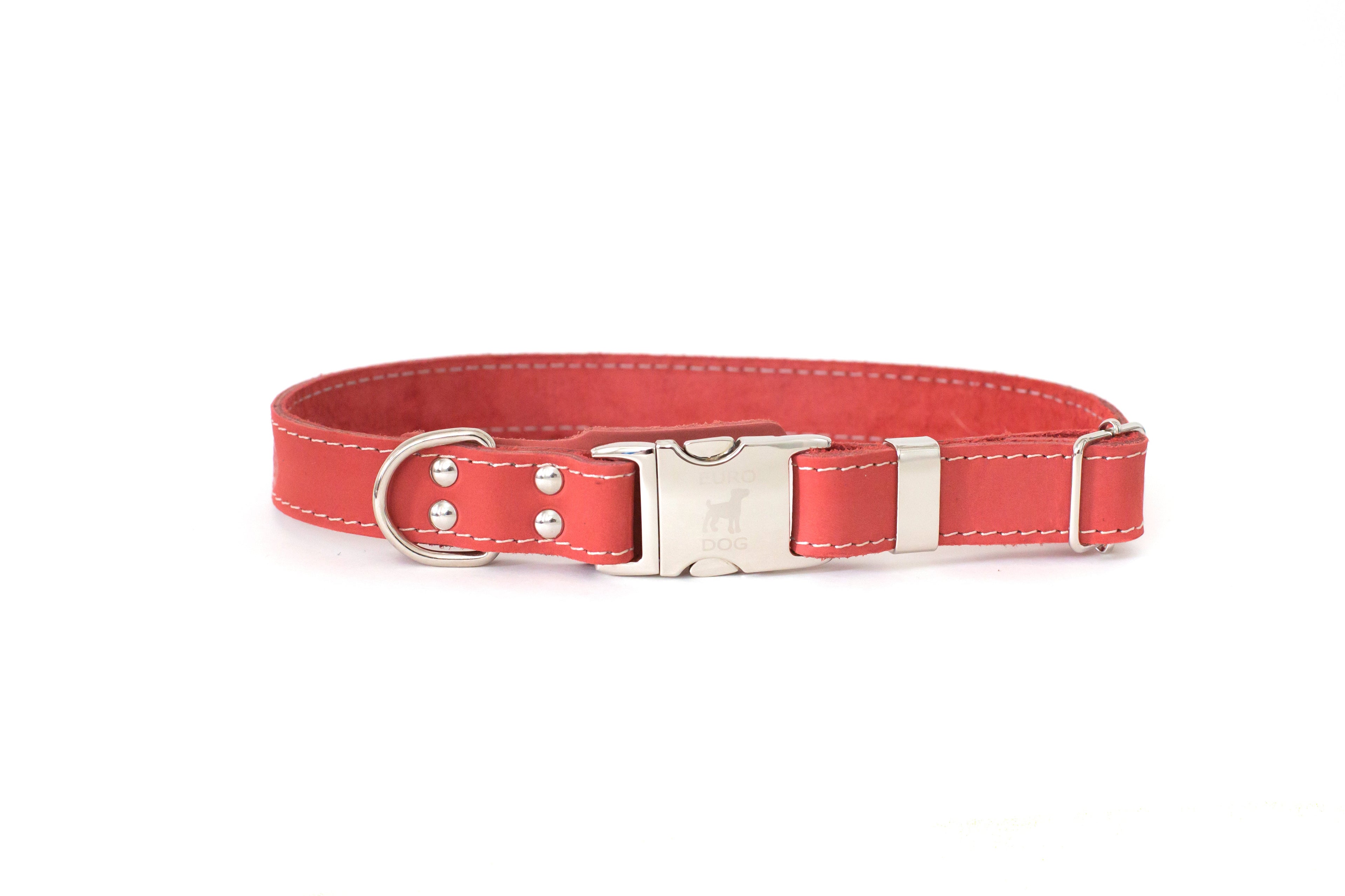 Euro-Dog Collars Pro Line quick-release coral reef leather dog collar with metal buckle, adjustable and durable for pets.