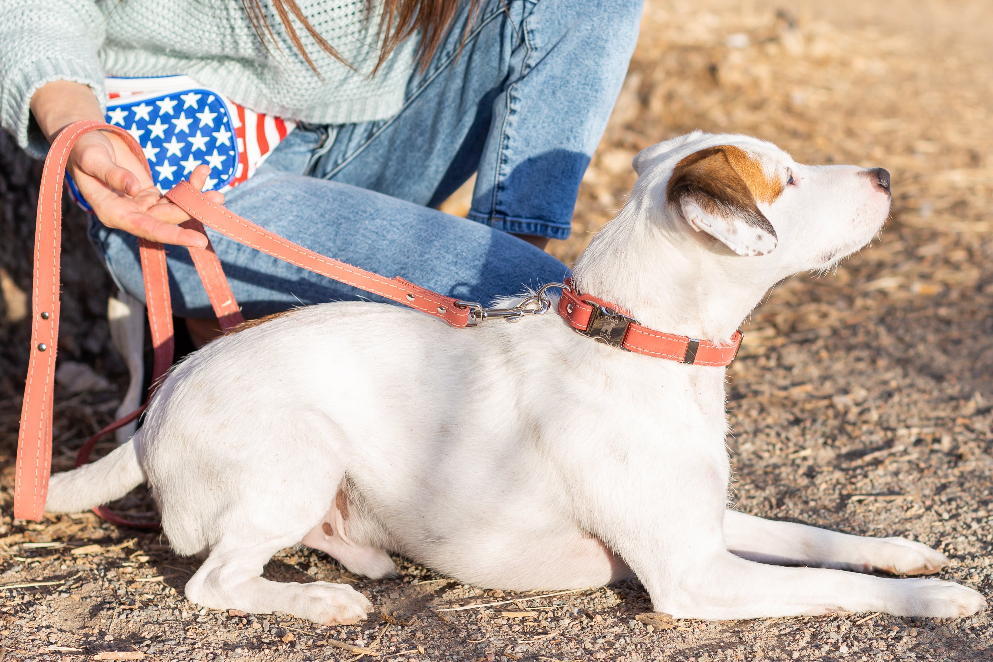 Euro-Dog leather collar and leash set with quick-release buckles, featuring a stylish and durable design for everyday dog walks.