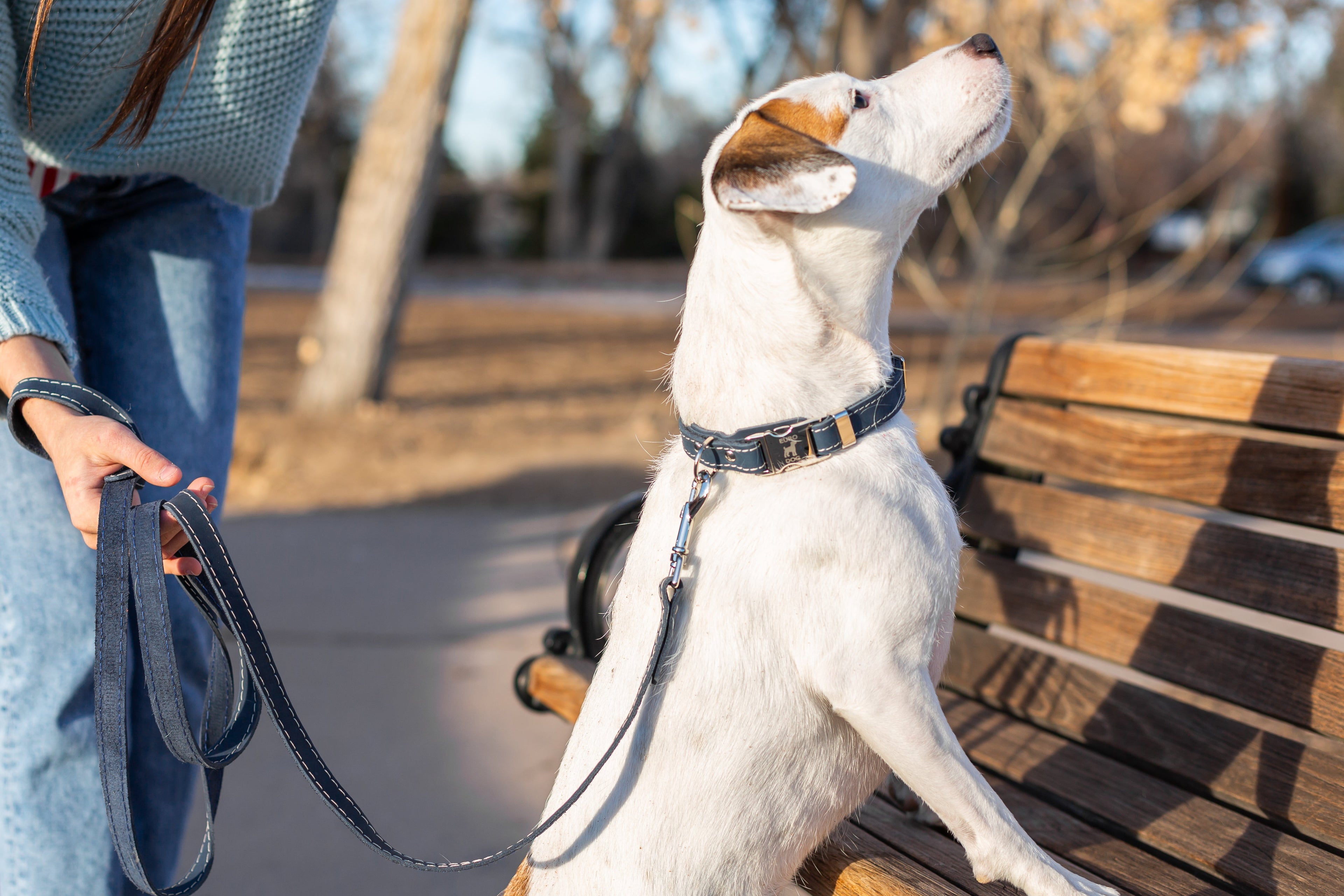 Blue leather dog collar with quick-release buckle and metal buckle from Euro-Dog Collars, designed for durable pet comfort.