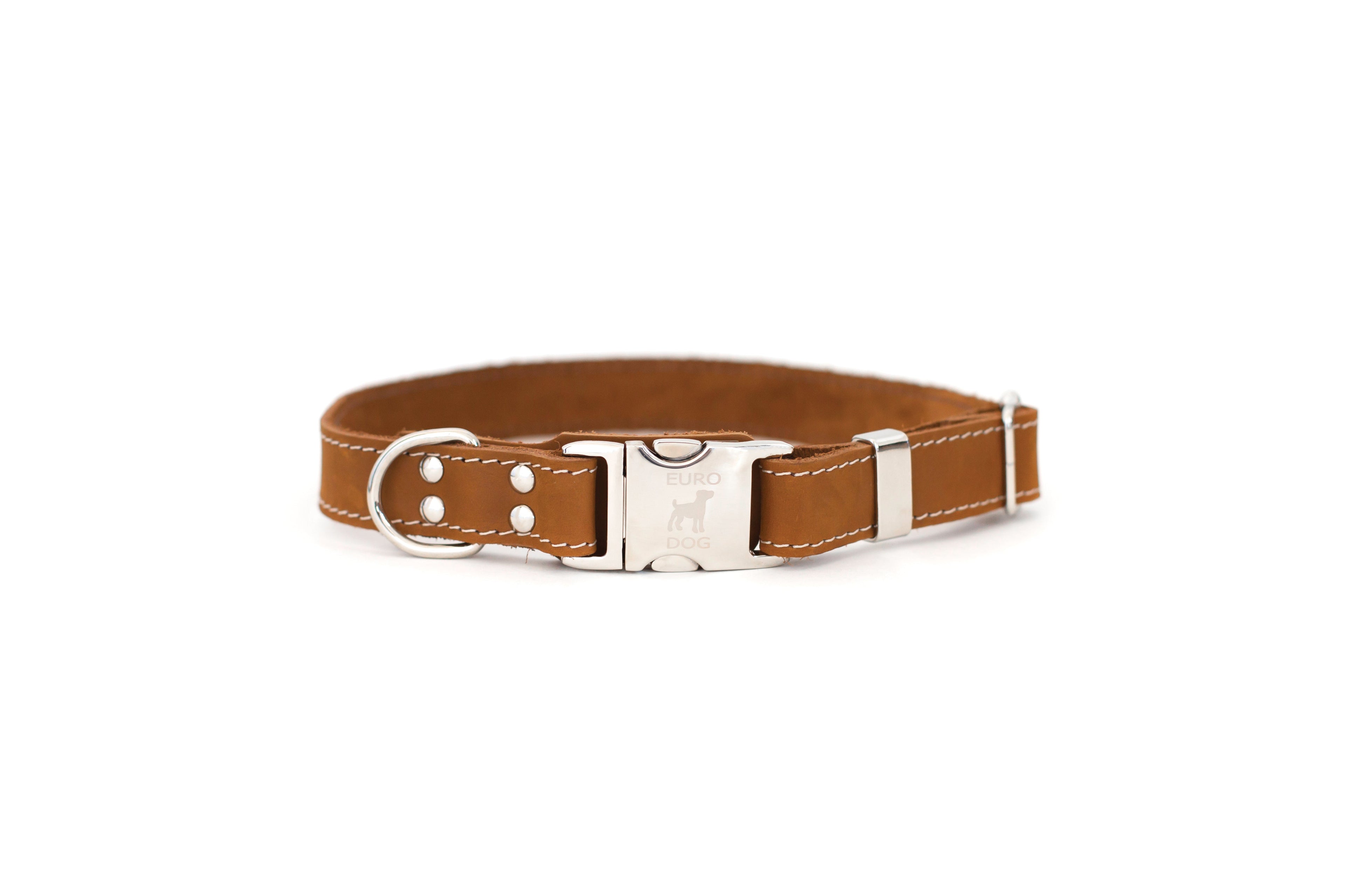 Leather collar and leash set with quick-release buckle from Euro-Dog Collars and Leads, showing close-up of the collar and leash attachment.