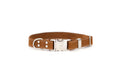Euro-Dog Collars Pro Line quick-release leather dog collar in earth brown with metal buckle, showcasing durable quality leather.