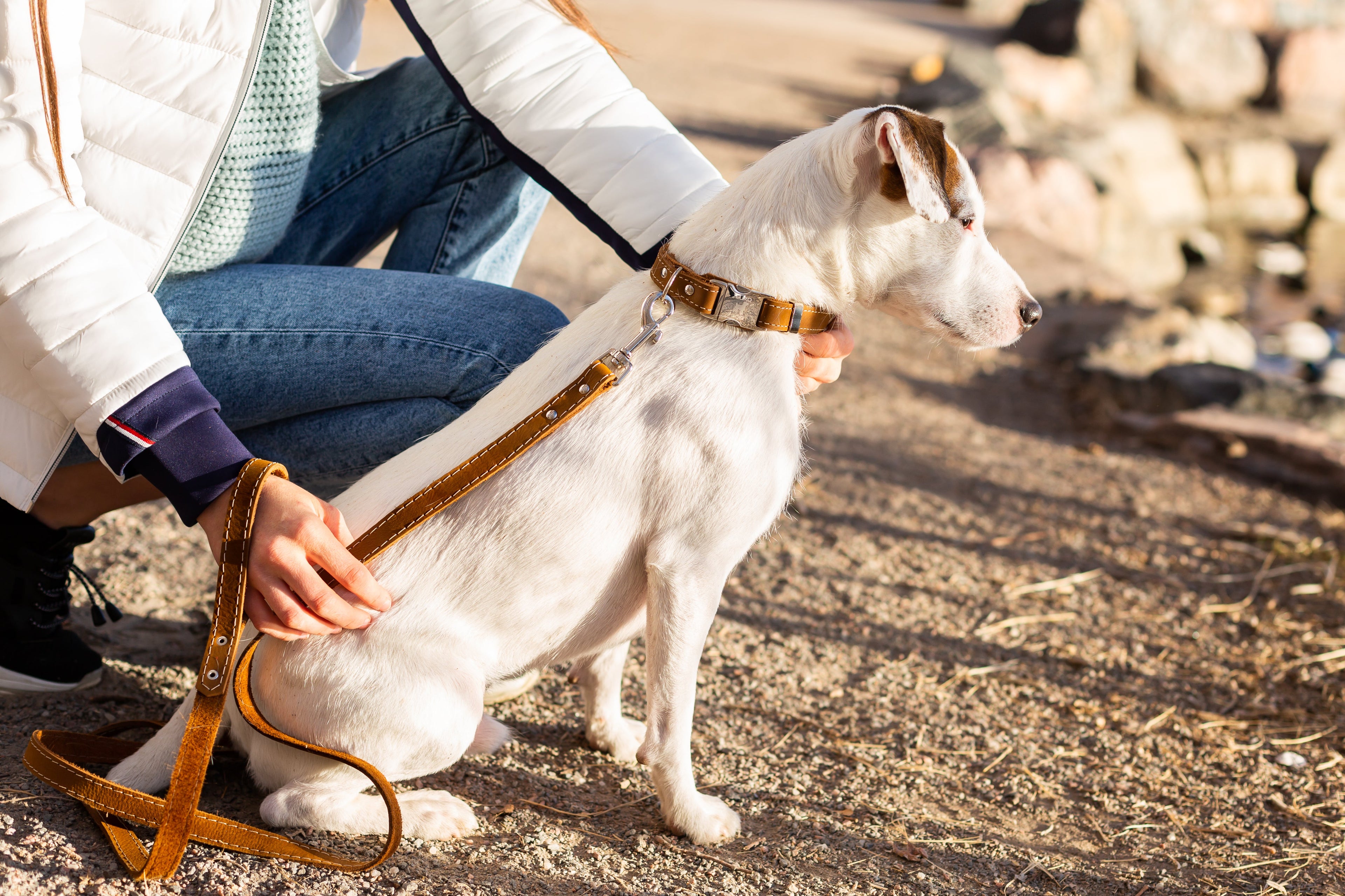 Earth brown leather dog collar with metal buckle from Euro-Dog Collars, featuring quick-release clasp and durable leather construction.