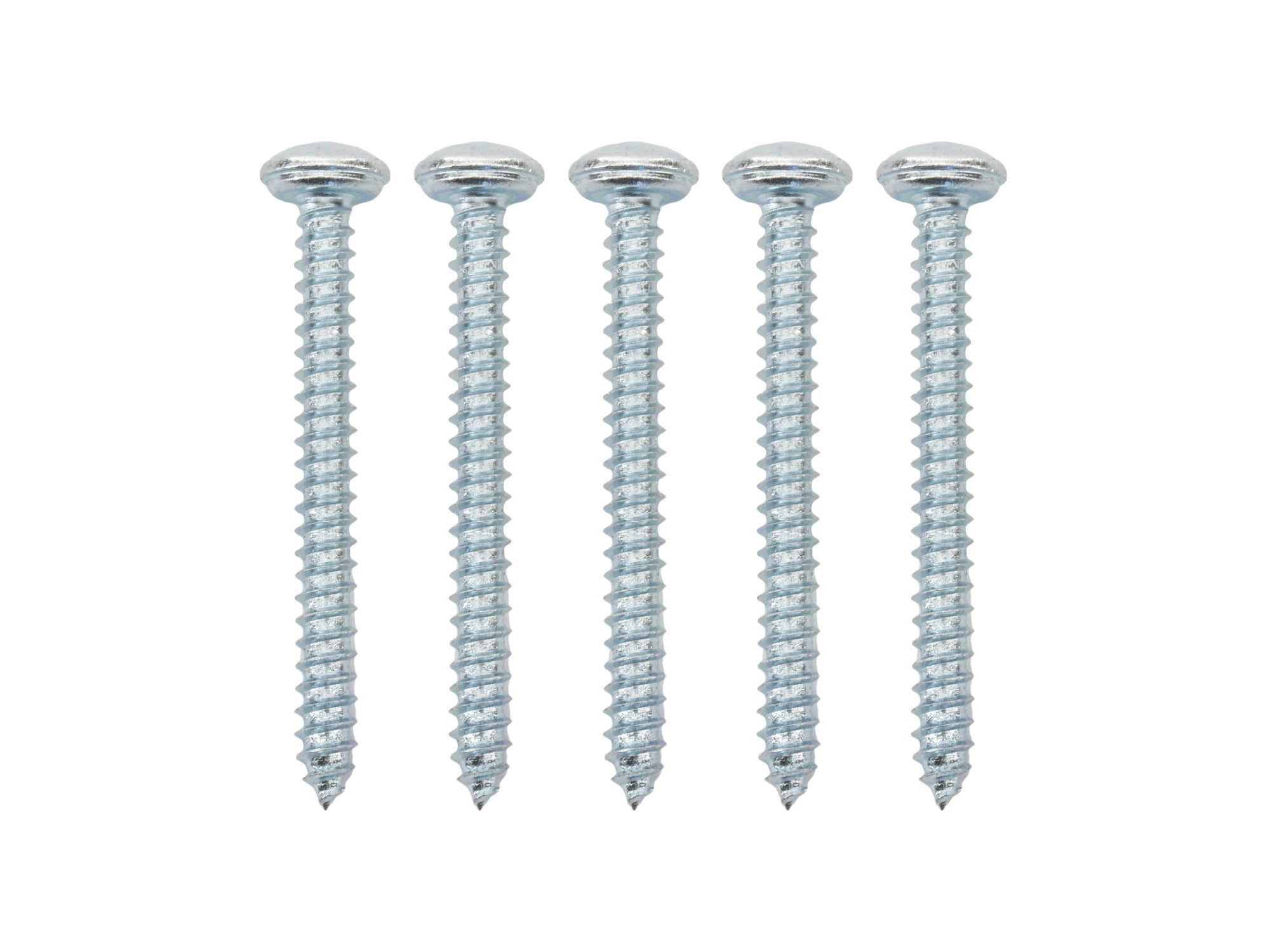 Westfalia Self Tapping Screw (39mm) - OVERLANDERS Outfitter