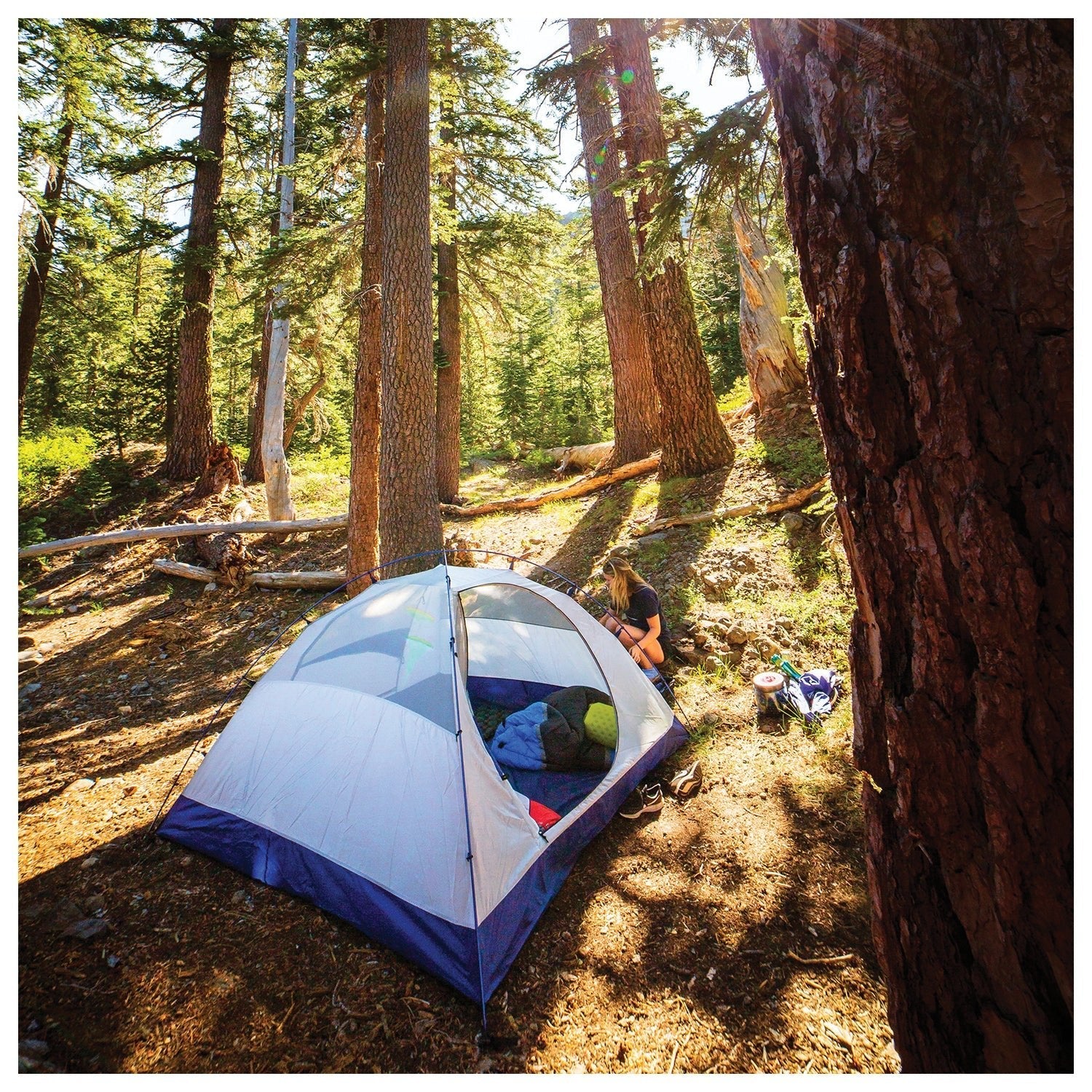 Backcountry Sportsman ALPS Mountaineering Lynx 2 ground tent set up outdoors with rainfly and mesh windows, lightweight camping shelter