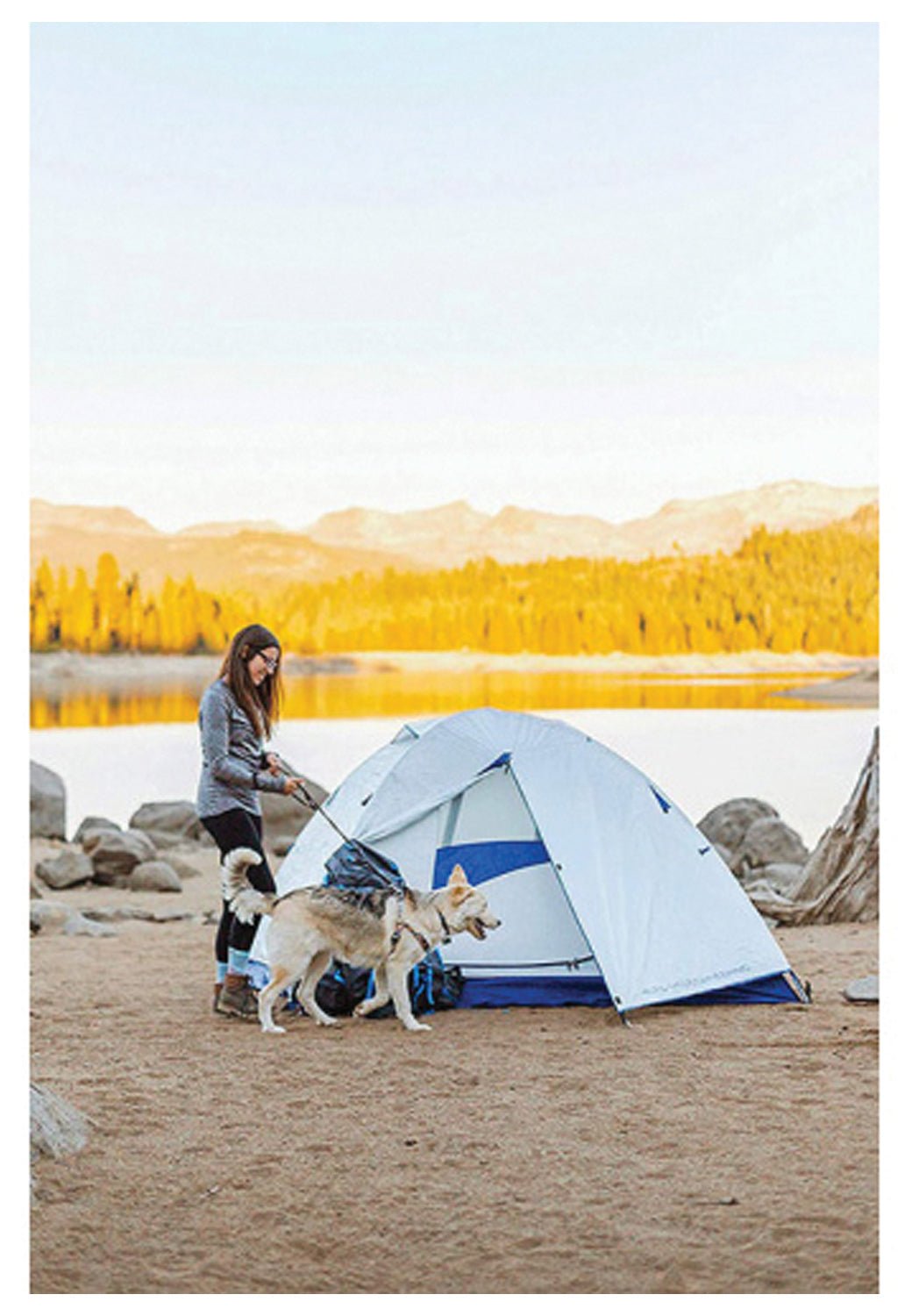 Backcountry Sportsman Lyn X 3 ground tent set up outdoors, featuring durable fabric, multiple mesh windows, and a rainfly for shelter.