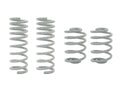 GoWesty coil spring bundle for 2WD Vanagon, showing two new coil springs on a plain background