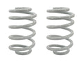 GoWesty Rear Coil Springs [2WD Vanagon] - OVERLANDERS Outfitter