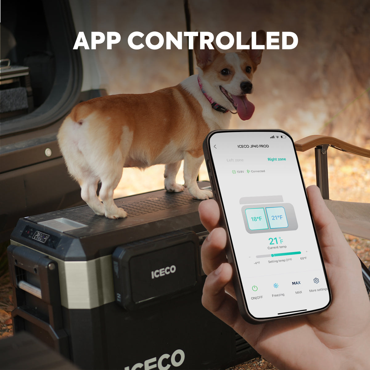 JP40 Pro Dual Zone Wheeled Portable Freezer- Golden | ICECO | 40 LT - We The Collective