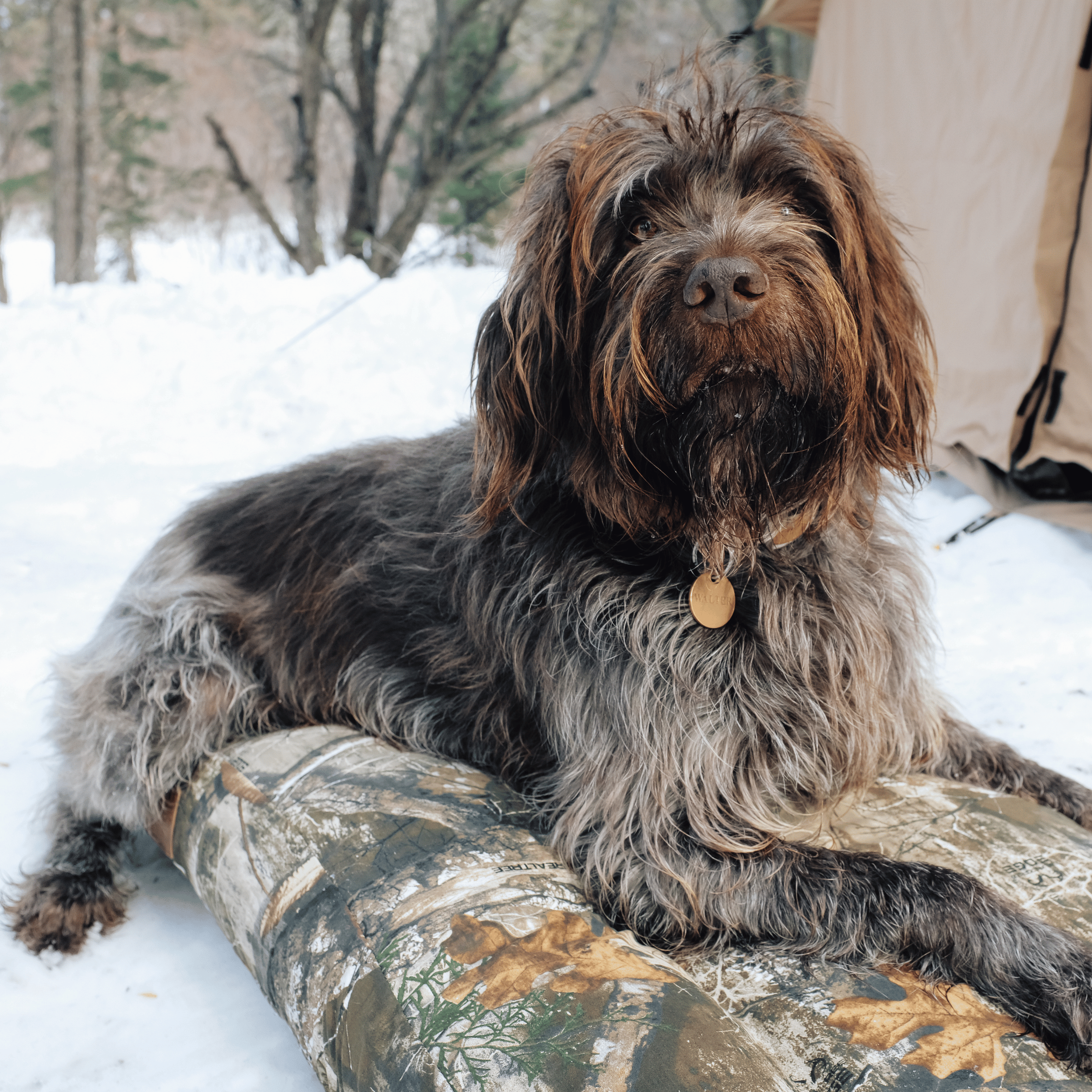Dog Bed - OVERLANDERS Outfitter