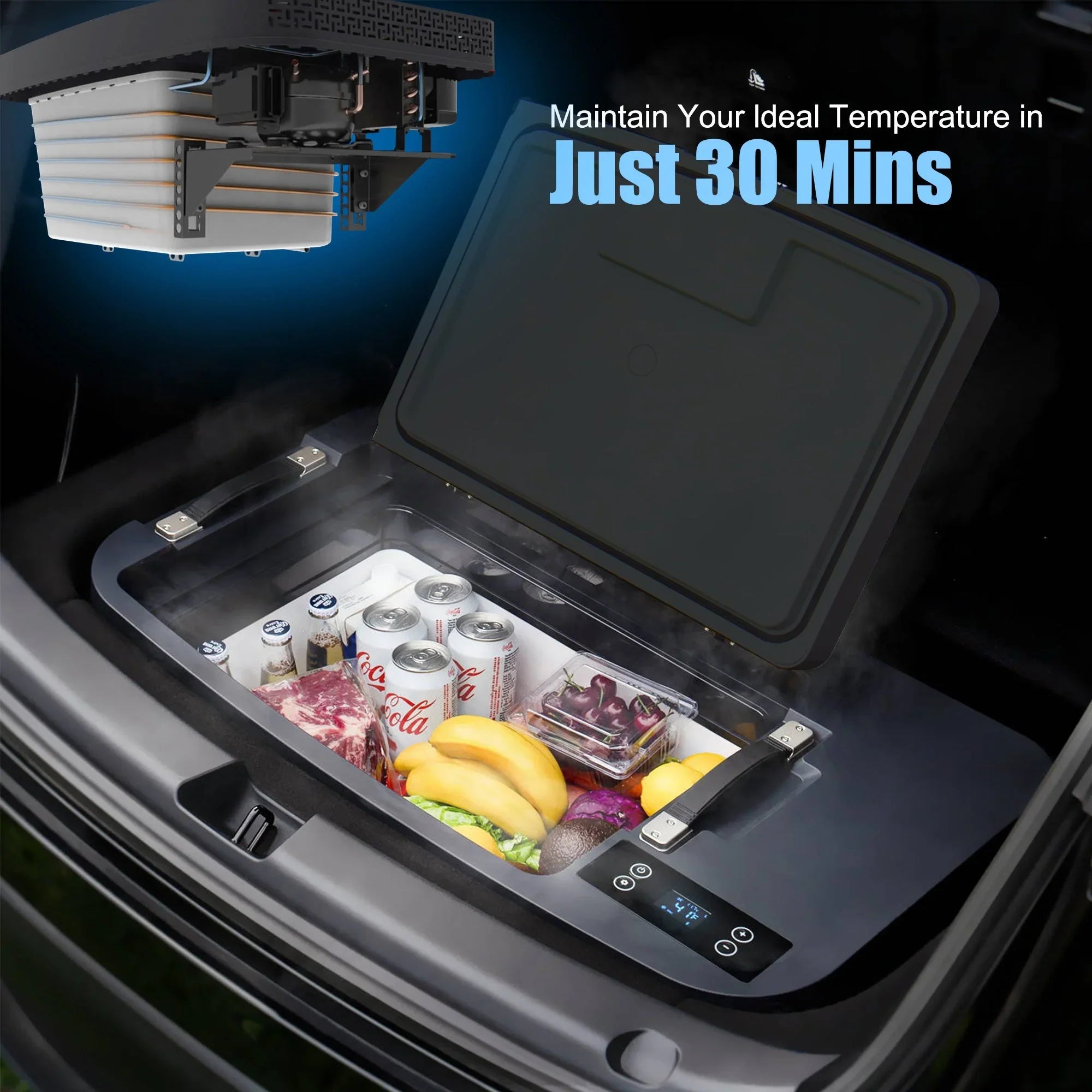 AcoPower TesFridge Portable Freezer – Specially Designed for Tesla Model Y - We The Collective