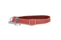 Martingale Coral Reef Leather Dog Collar - OVERLANDERS Outfitter