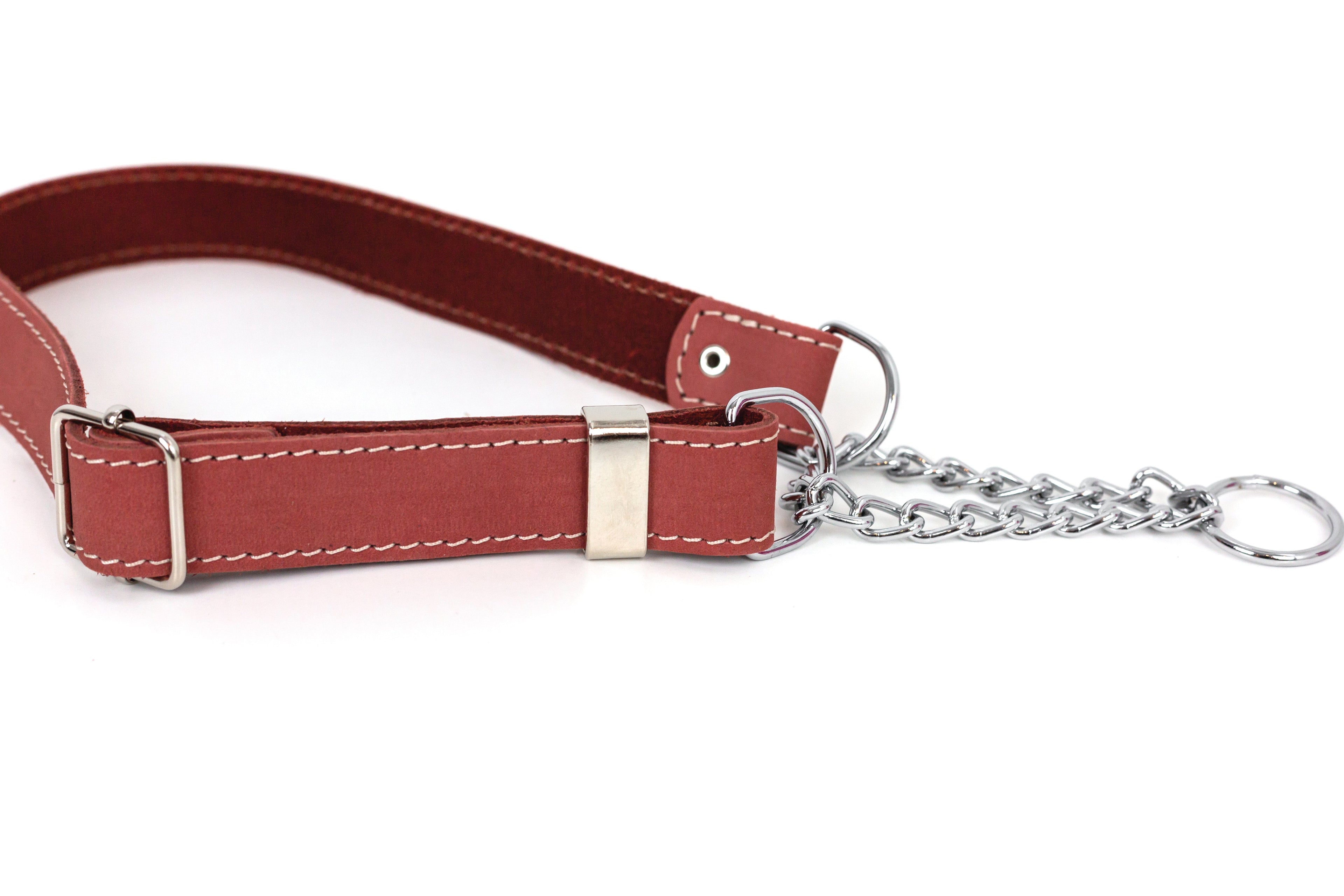 Martingale Coral Reef Leather Dog Collar - OVERLANDERS Outfitter