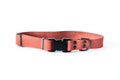 Sport Style Coral Reef Leather Dog Collar - OVERLANDERS Outfitter