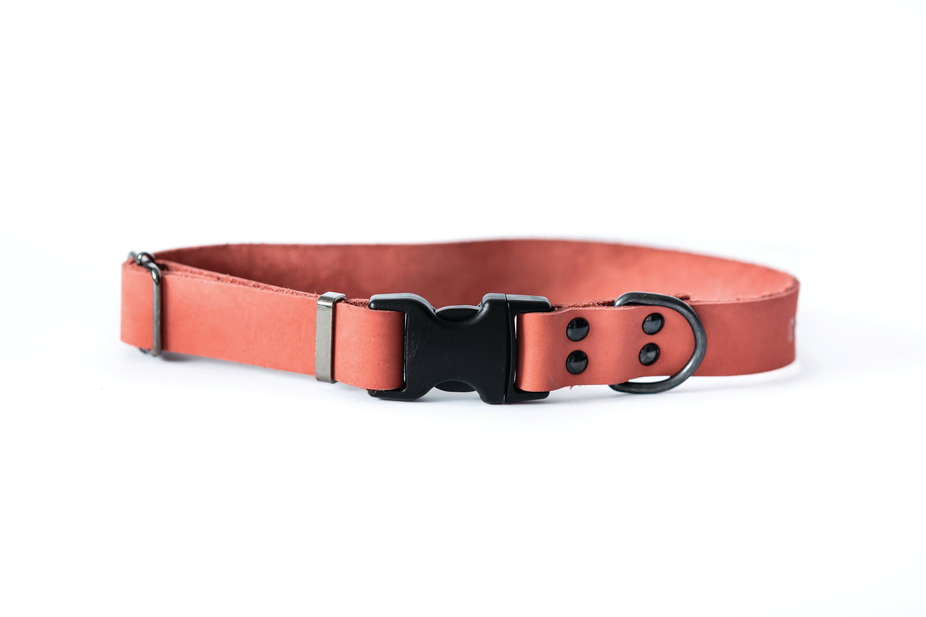 Sport Style Coral Reef Leather Dog Collar - OVERLANDERS Outfitter