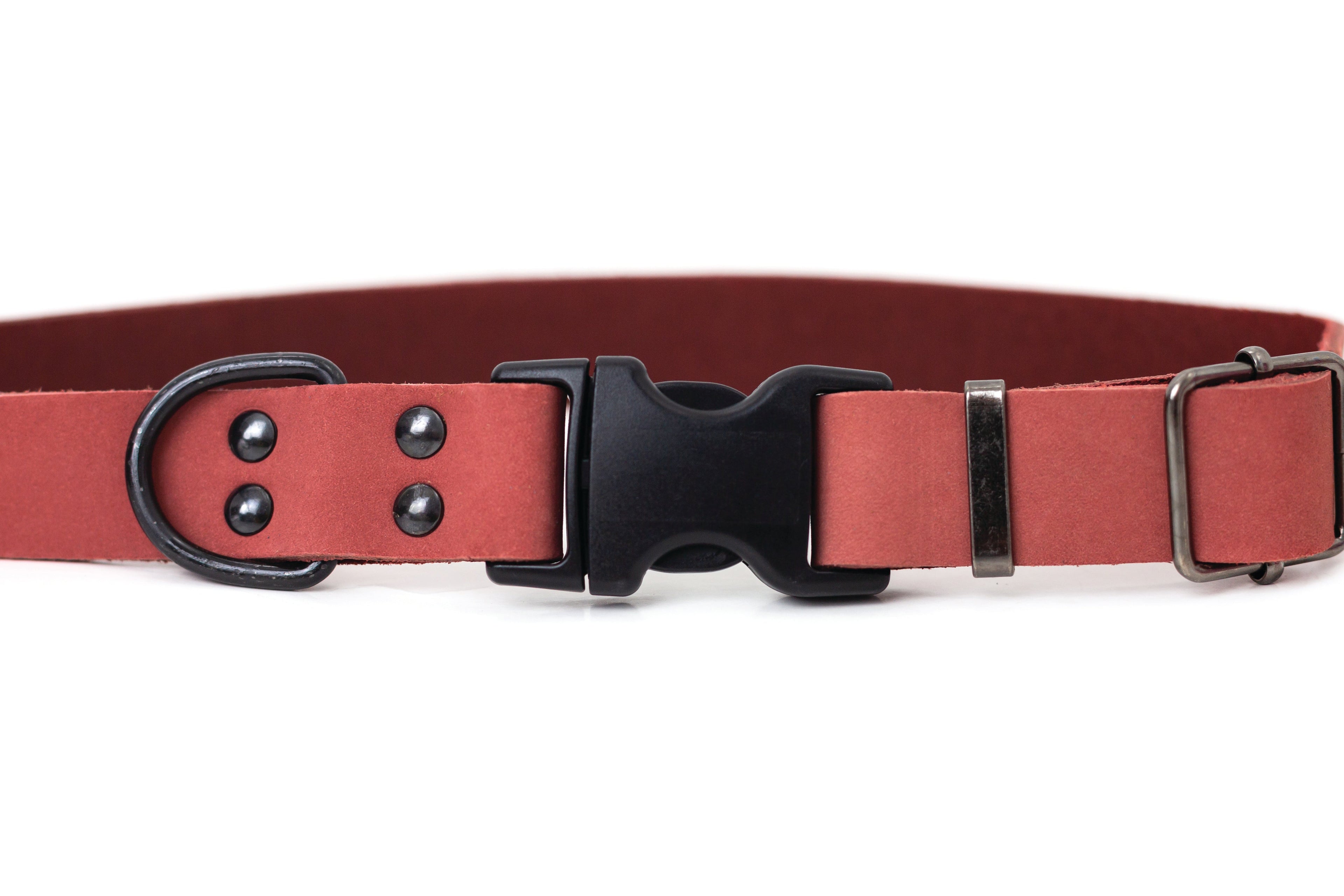 Sport Style Coral Reef Leather Dog Collar - OVERLANDERS Outfitter