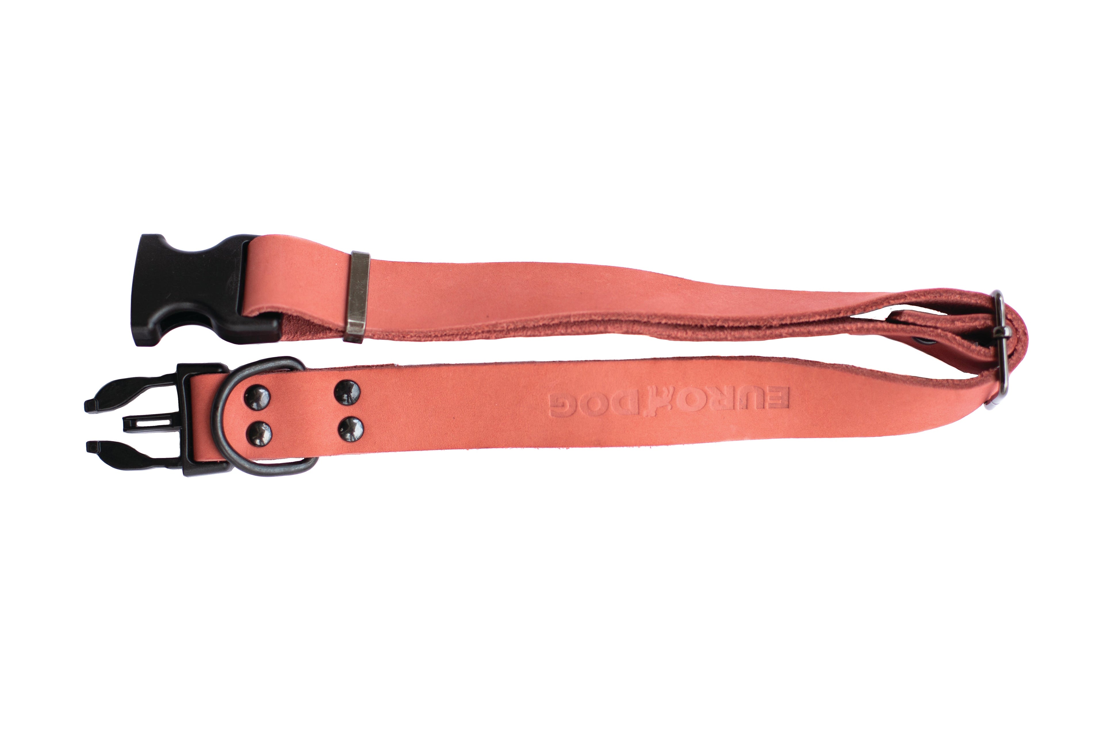 Sport Style Coral Reef Leather Dog Collar - OVERLANDERS Outfitter