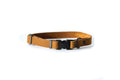 Earth brown leather dog collar by Euro-Dog Collars, sport style with sturdy leather and metal buckle for durable pet wear.