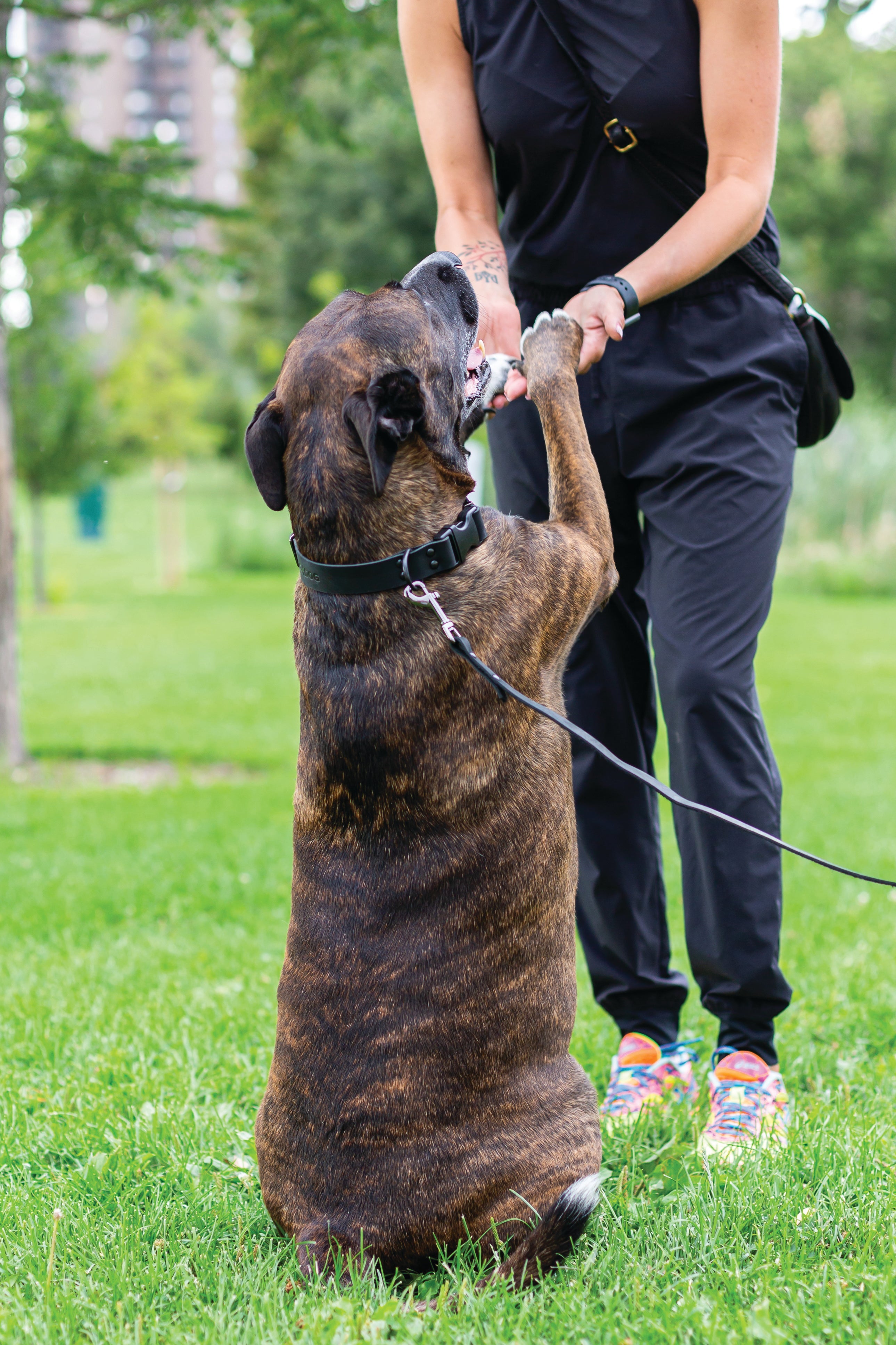 Sport Style Midnight Black Leather Leash - OVERLANDERS Outfitter