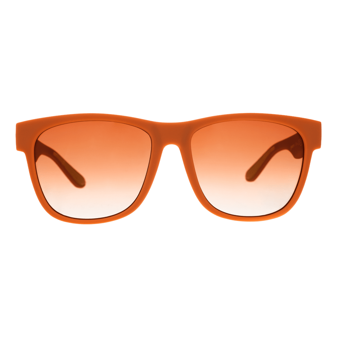 Rare Air Discs Mayor Of Pangaea BFG polarized sunglasses with transparent frame and dark tinted lenses, showcasing front view.