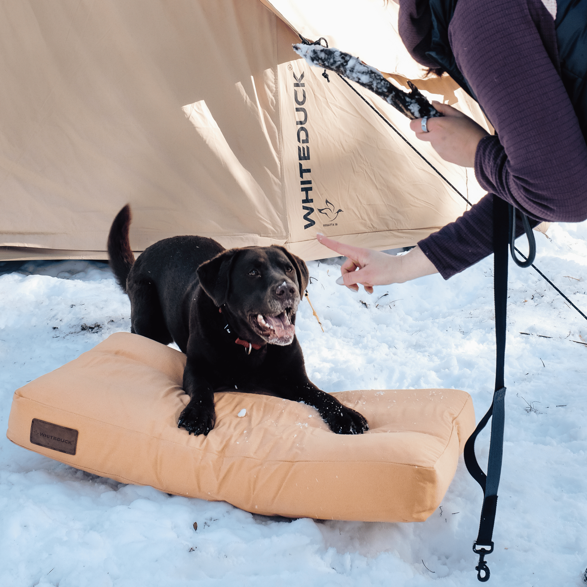 Dog Bed - OVERLANDERS Outfitter