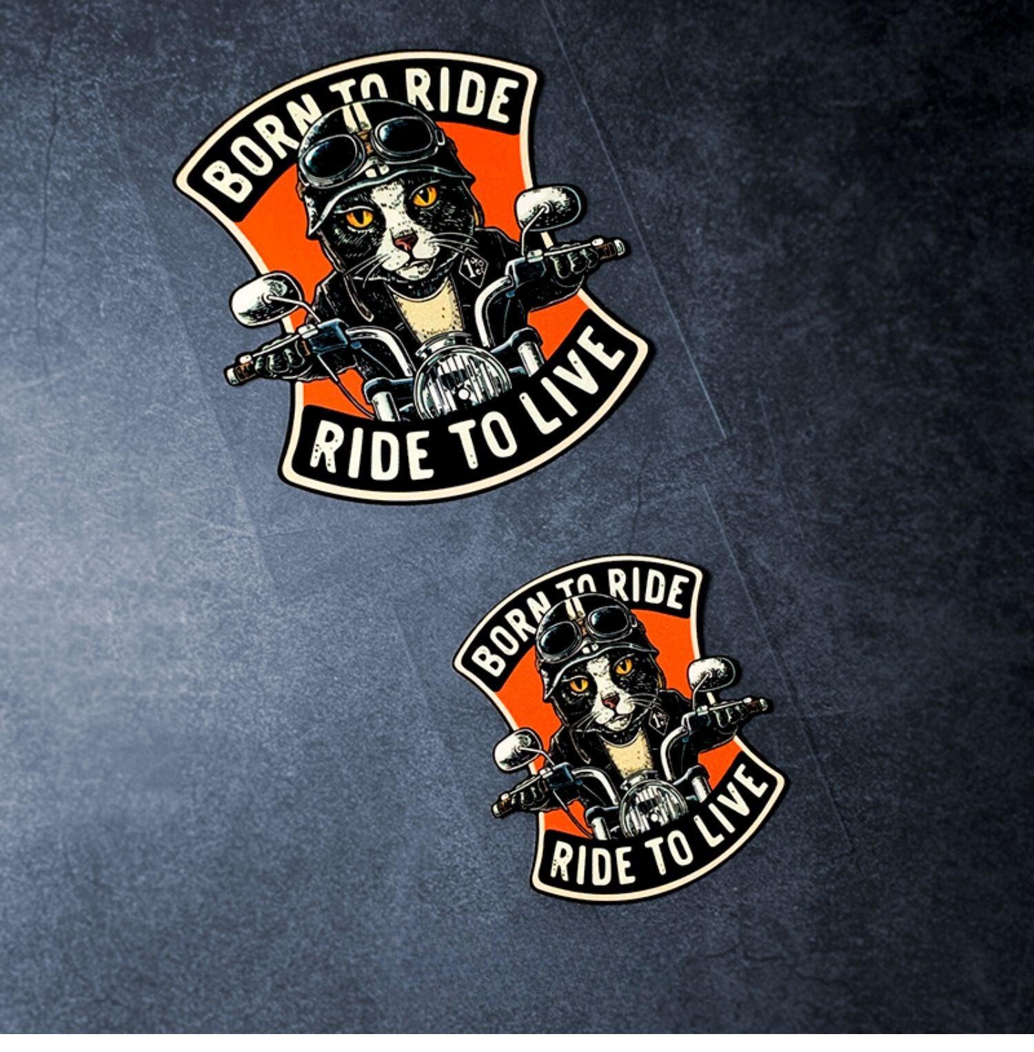 Bean's Moto Booth "BORN TO RIDE" decorative sticker with bold black text on a white background for motorcycle enthusiasts.