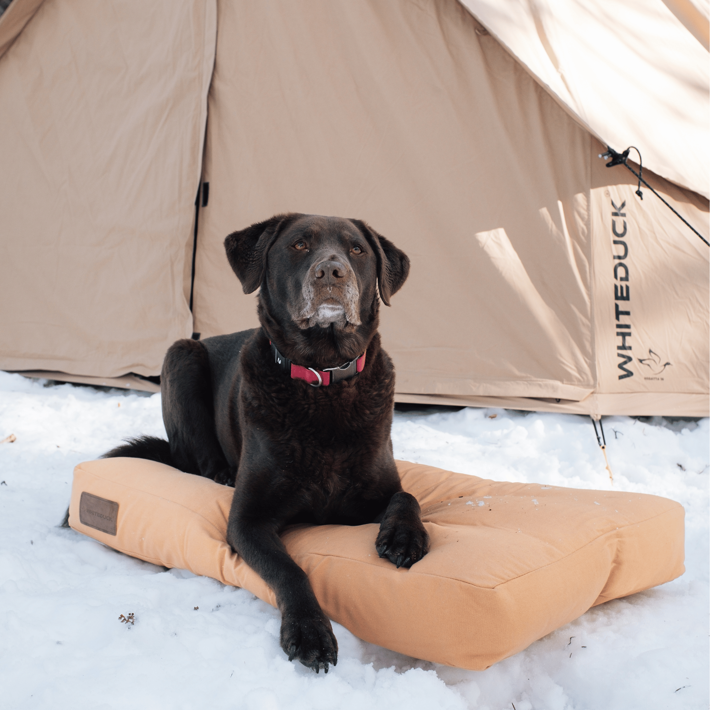 Dog Bed - OVERLANDERS Outfitter
