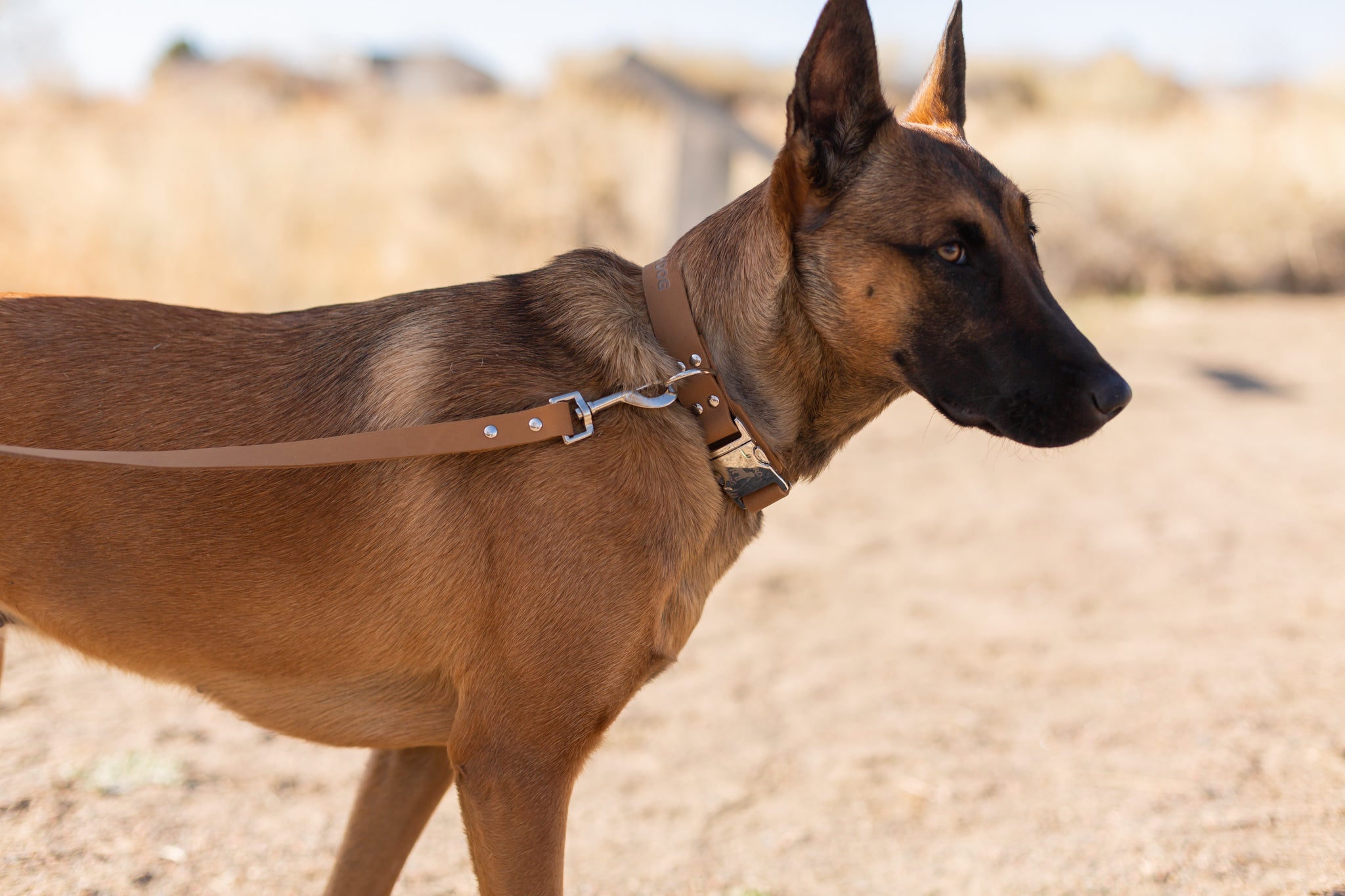 Modern Style Khaki Leather Leash - OVERLANDERS Outfitter