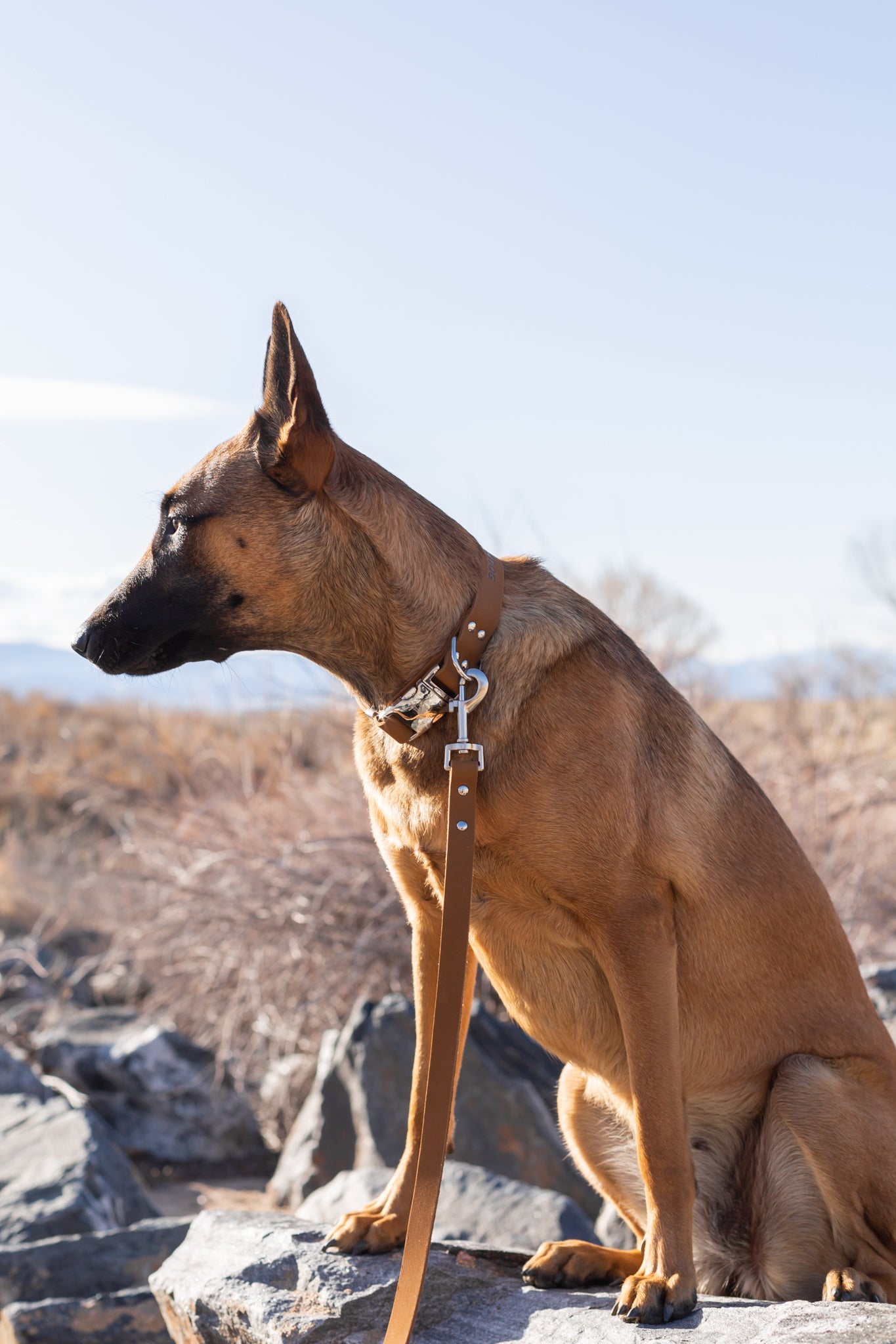Modern Style Earth Brown Leather Leash - OVERLANDERS Outfitter