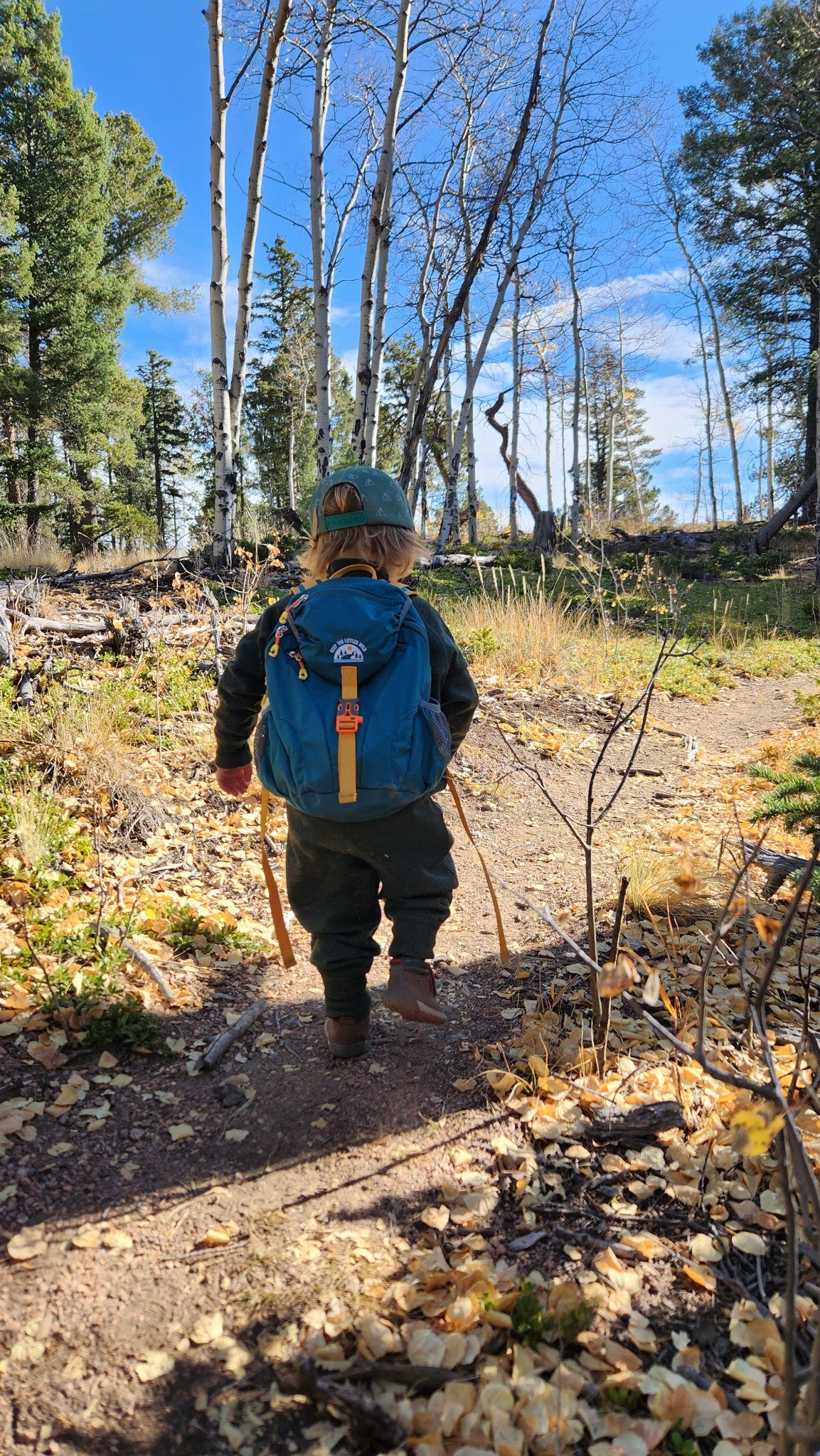 Kid's teal hiking backpack for ages 2-7 by Keep the Littles Wild, water bladder compatible, with adjustable straps and outdoor design.