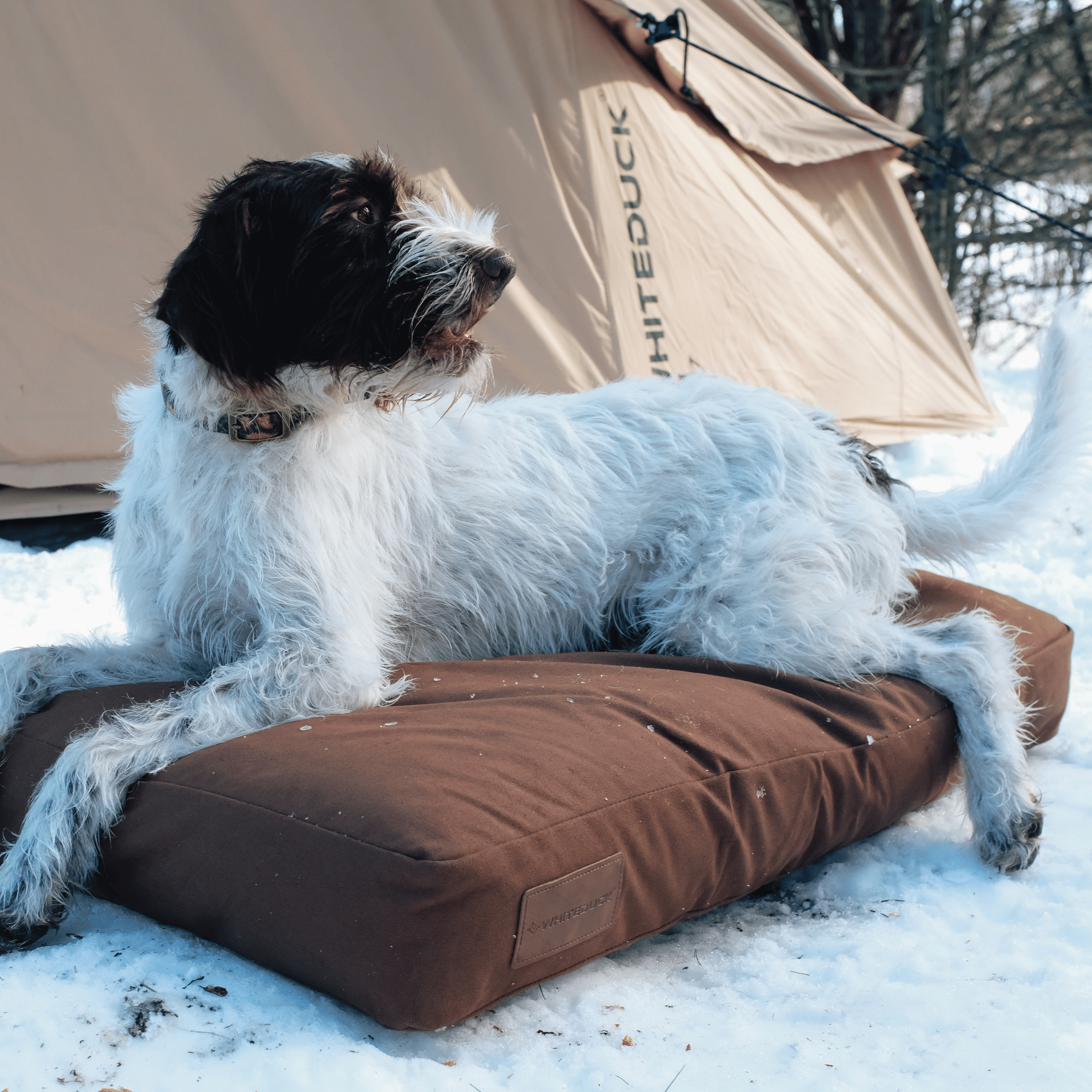 Dog Bed - OVERLANDERS Outfitter