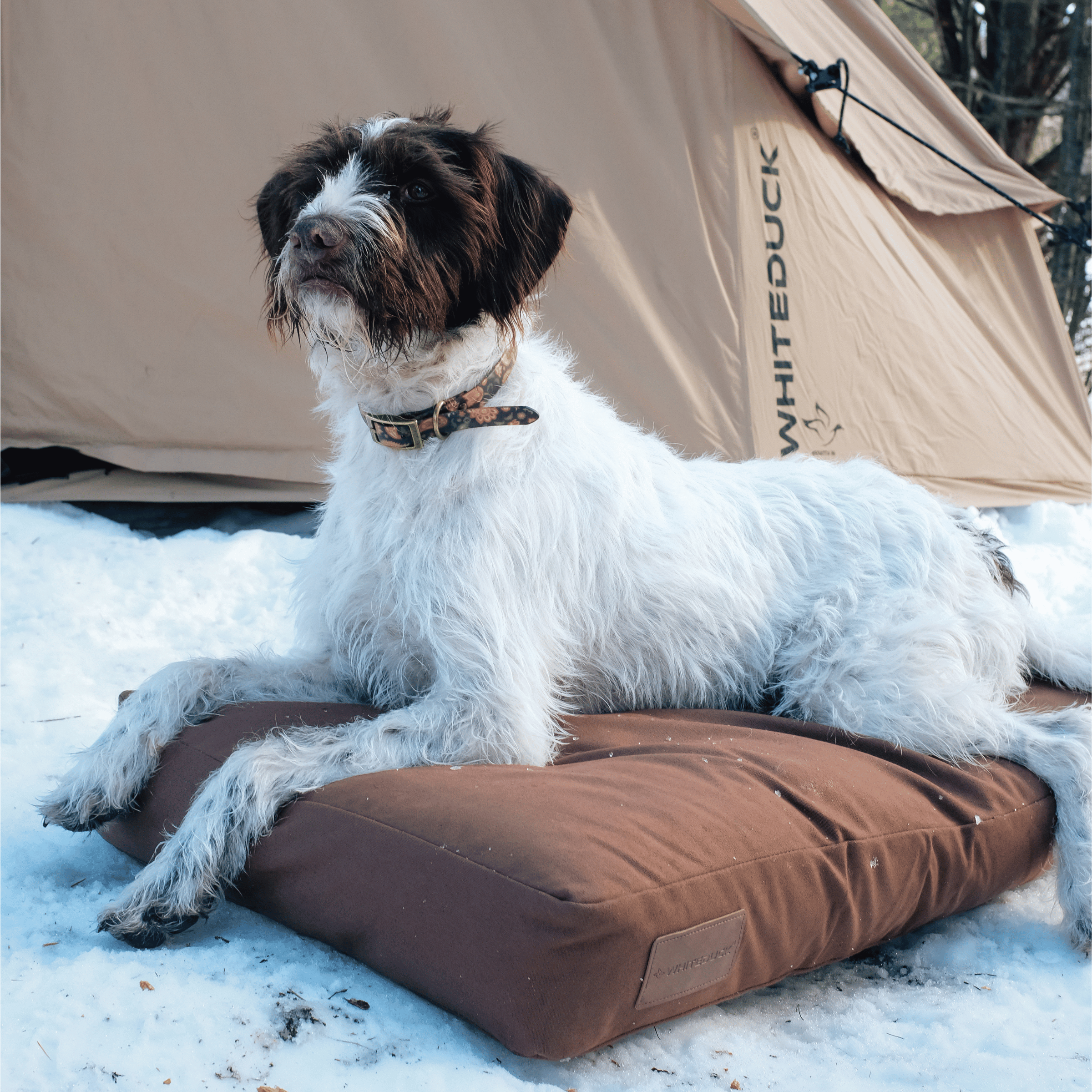 White Duck Outdoors pet bed for dogs, plush and comfortable dog bed with soft fabric and supportive cushioning.