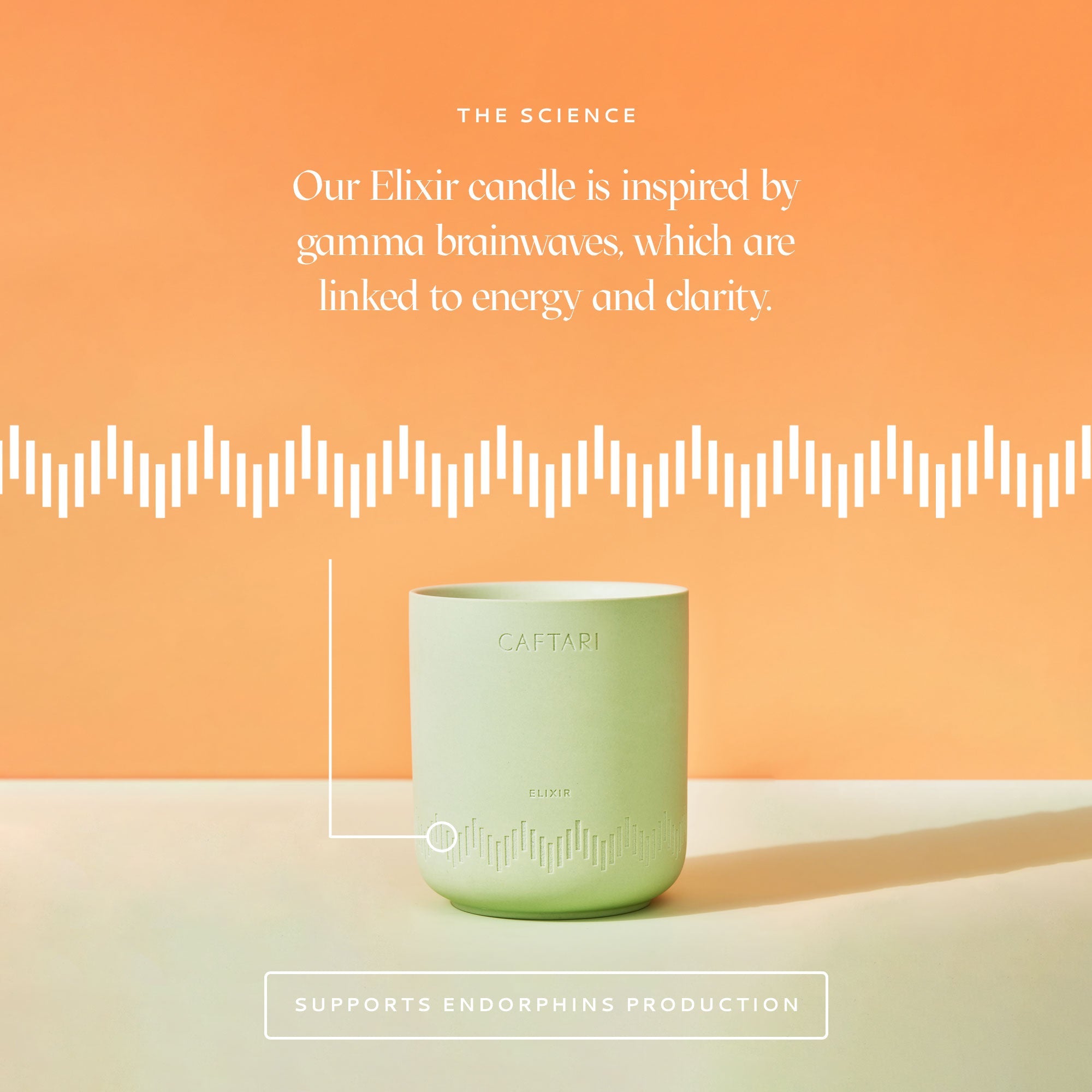 Caftari Signature Gift Set - We The Collective