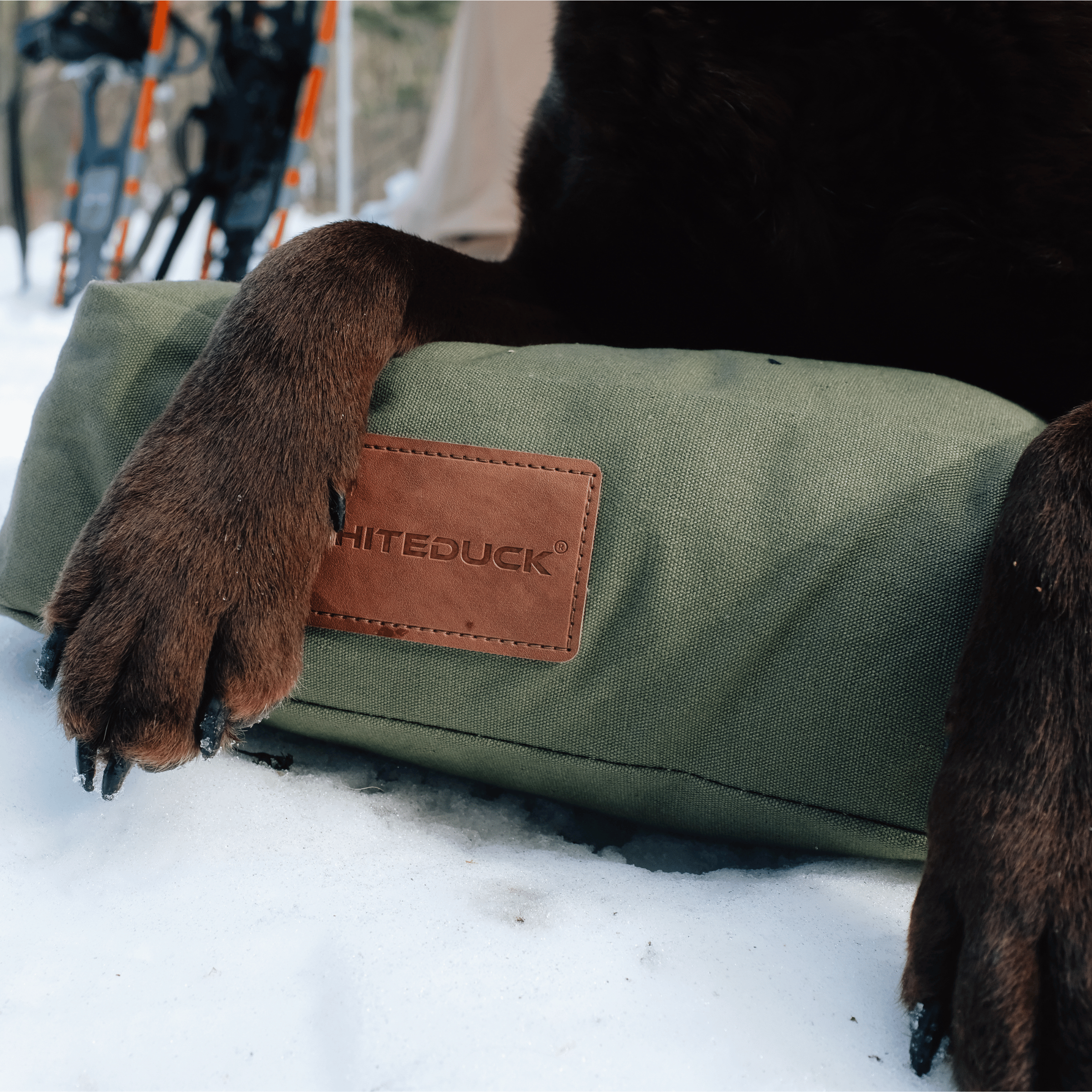 White Duck Outdoors pet dog bed with plush fabric and raised edges, providing a comfortable resting spot for dogs.