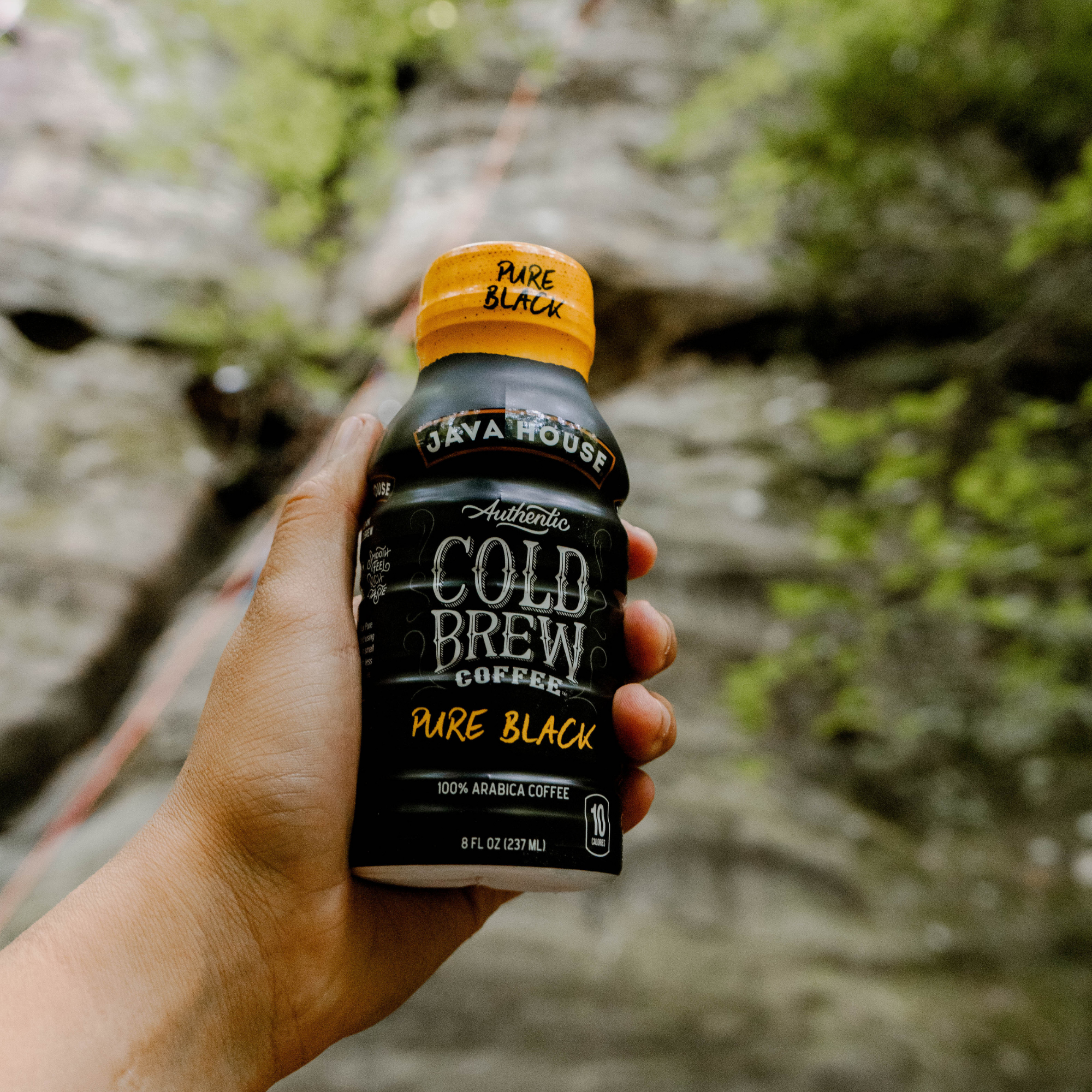 Cold Brew 8oz Bottles - Pure Black - We The Collective