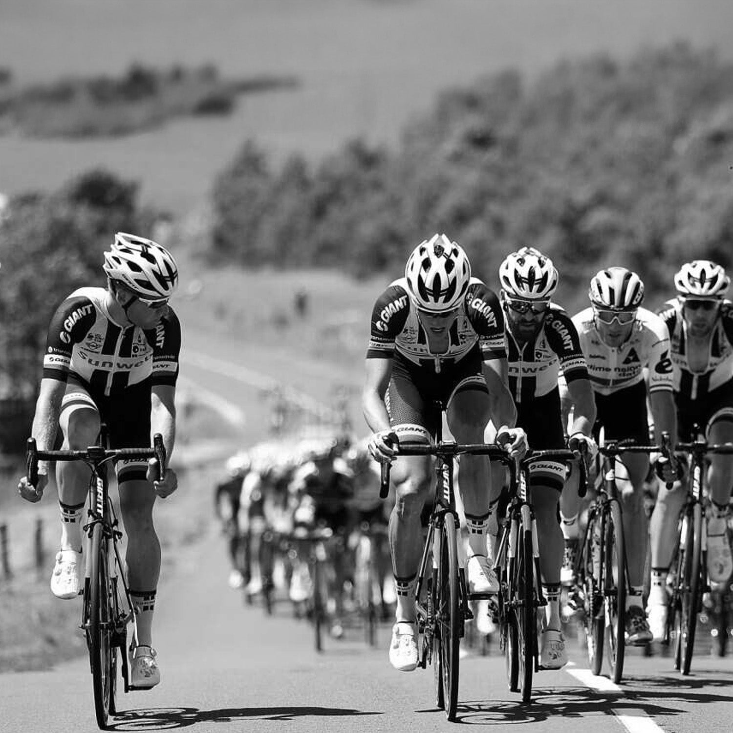 ZEITBIKE - Pro Team Cycling Cap - Liv -Sunweb 2018 - OVERLANDERS Outfitter