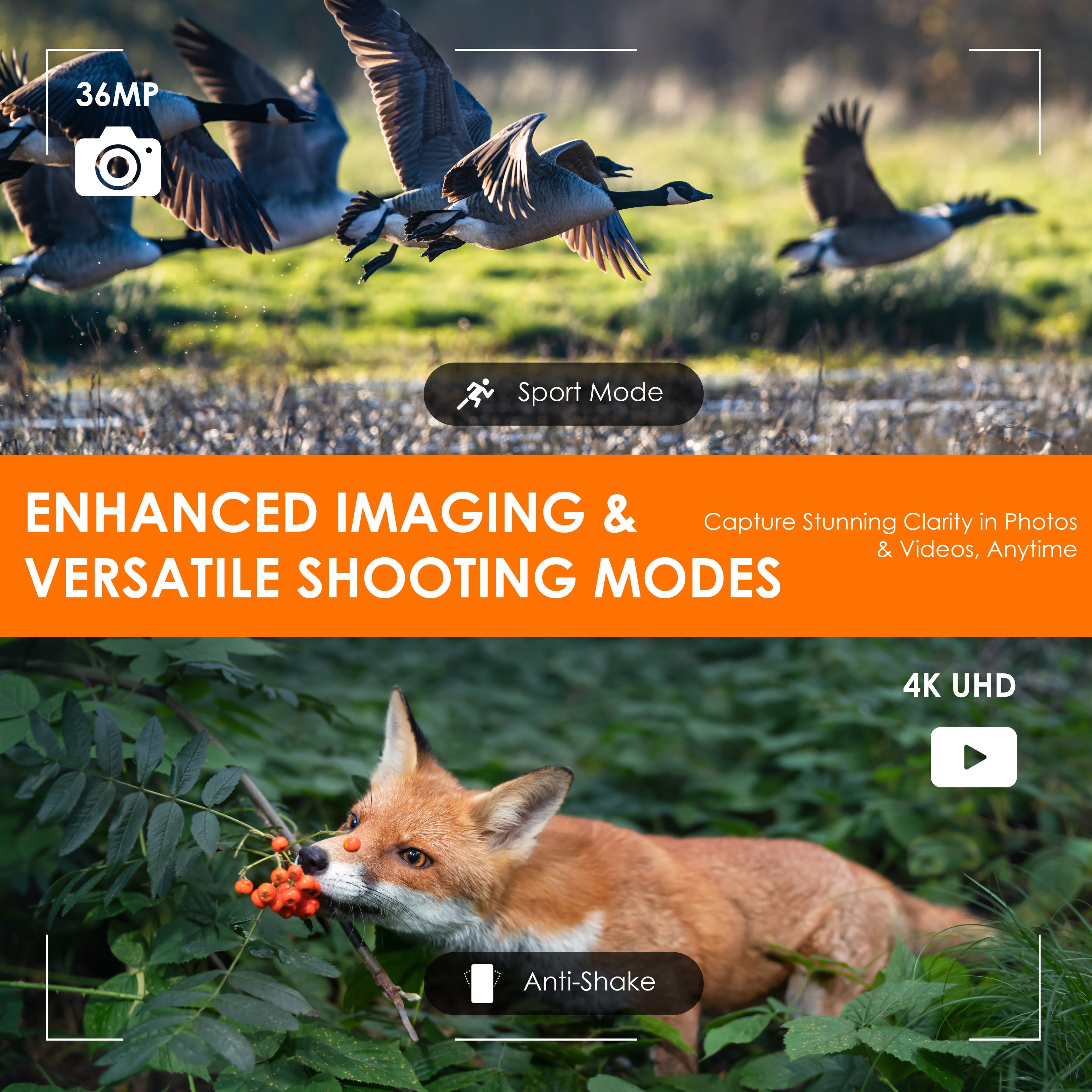 Rexing B1 Compass Night Vision Binoculars showcasing 4K Ultra HD optics and ergonomic design for outdoor use.