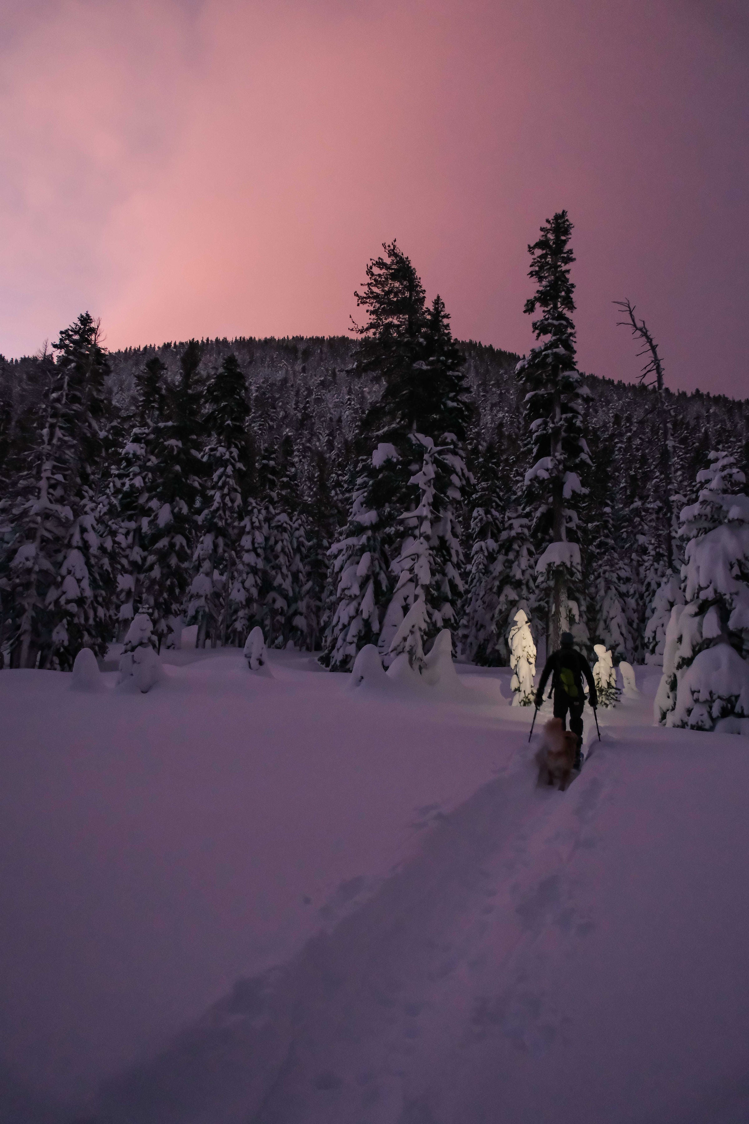 Beacon Rechargeable 500 Lumen Headlamp - OVERLANDERS Outfitter