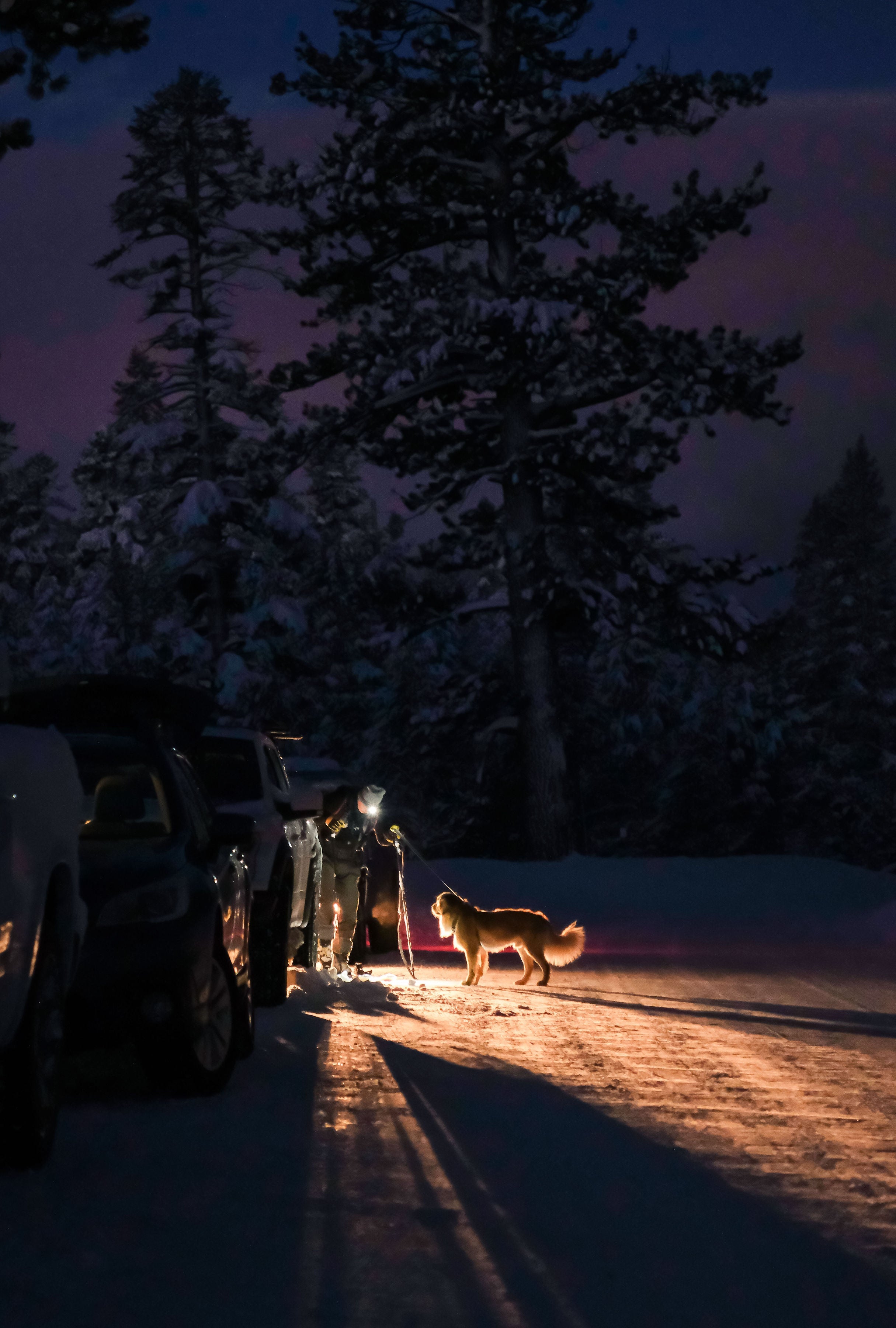 Beacon Rechargeable 500 Lumen Headlamp - OVERLANDERS Outfitter