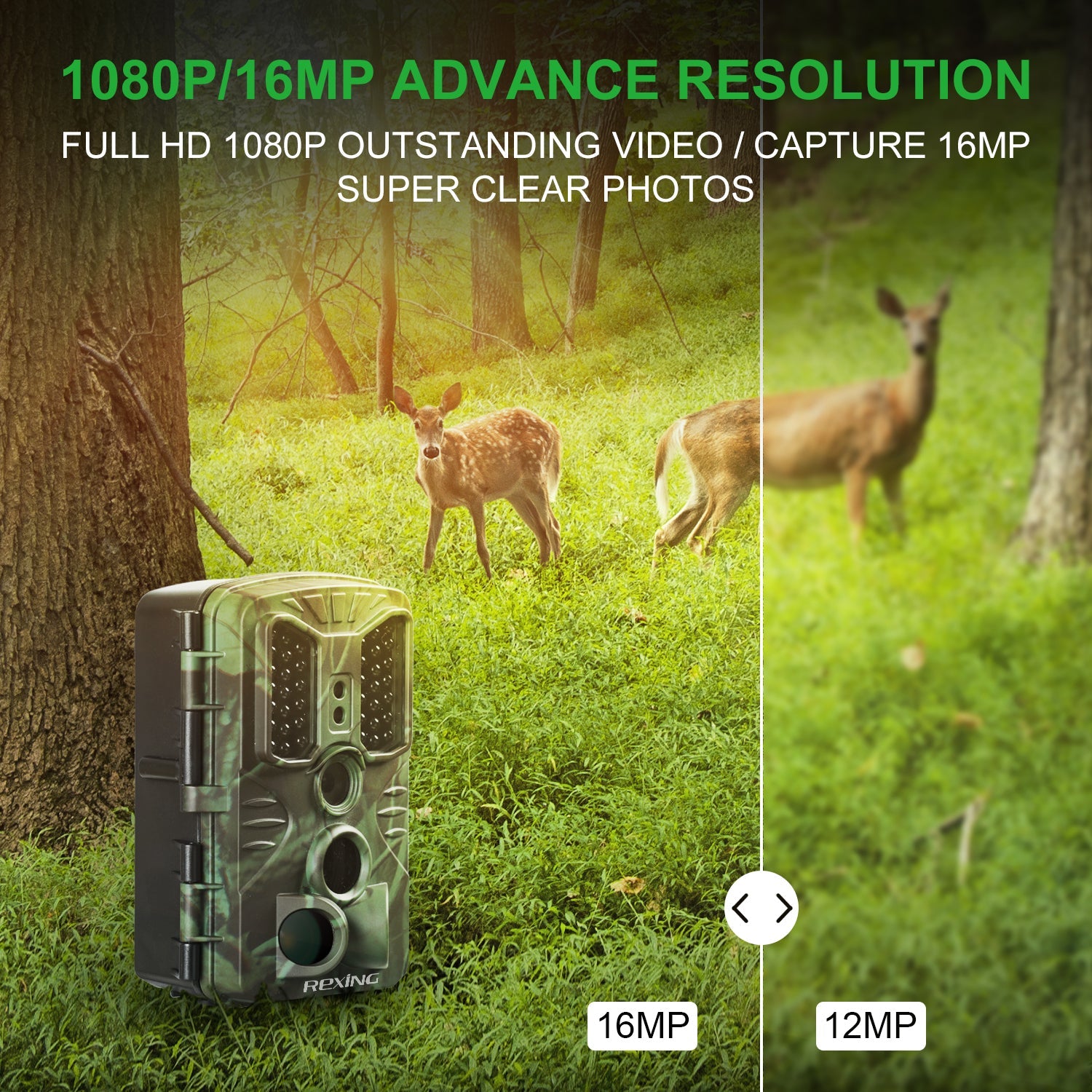 REXING H1 Blackhawk Night Vision Trail Camera Full HD 1920×1080 - OVERLANDERS Outfitter