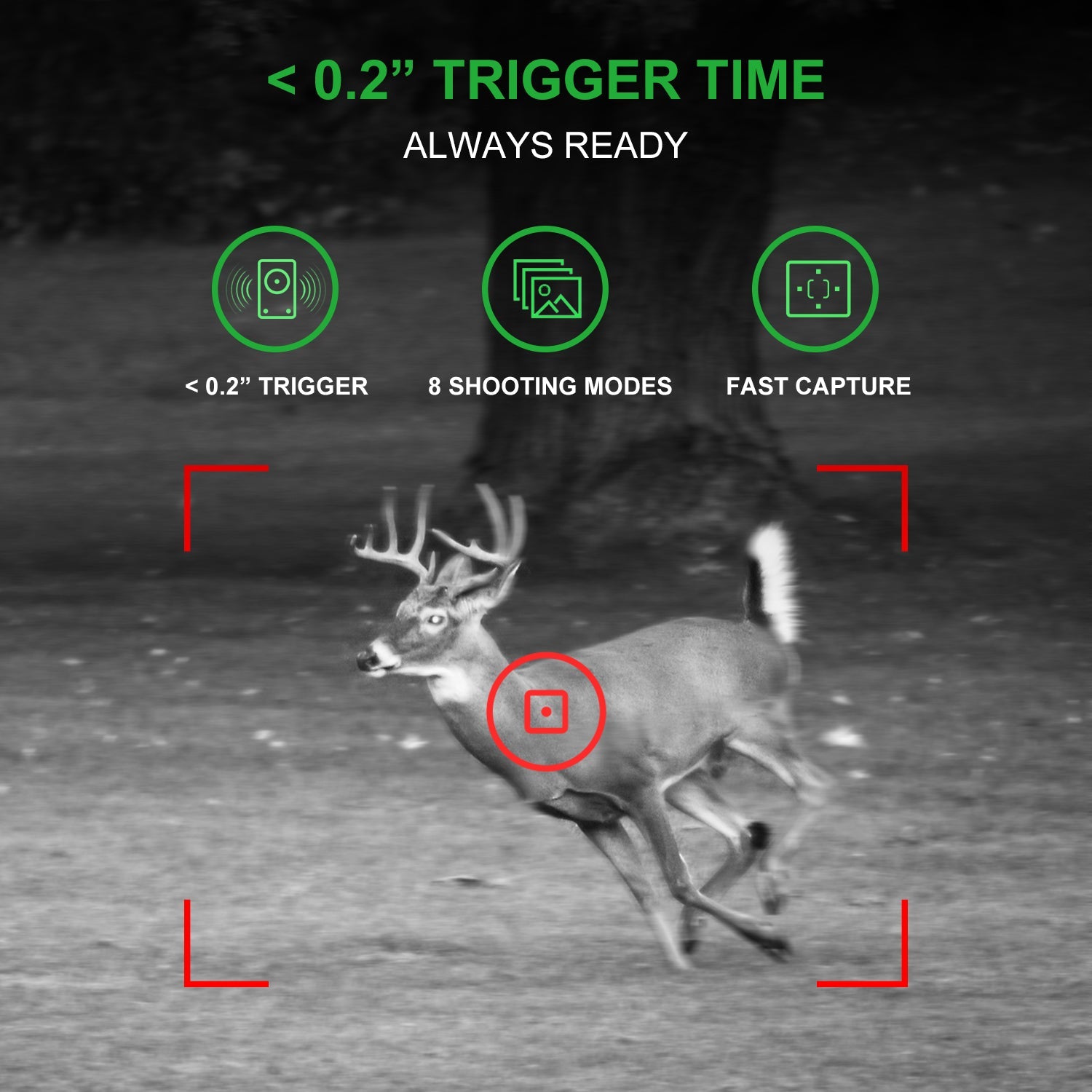 REXING H1 Blackhawk Night Vision Trail Camera Full HD 1920×1080 - OVERLANDERS Outfitter