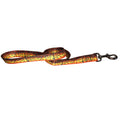 Brown Trout2 Dog Leash - OVERLANDERS Outfitter